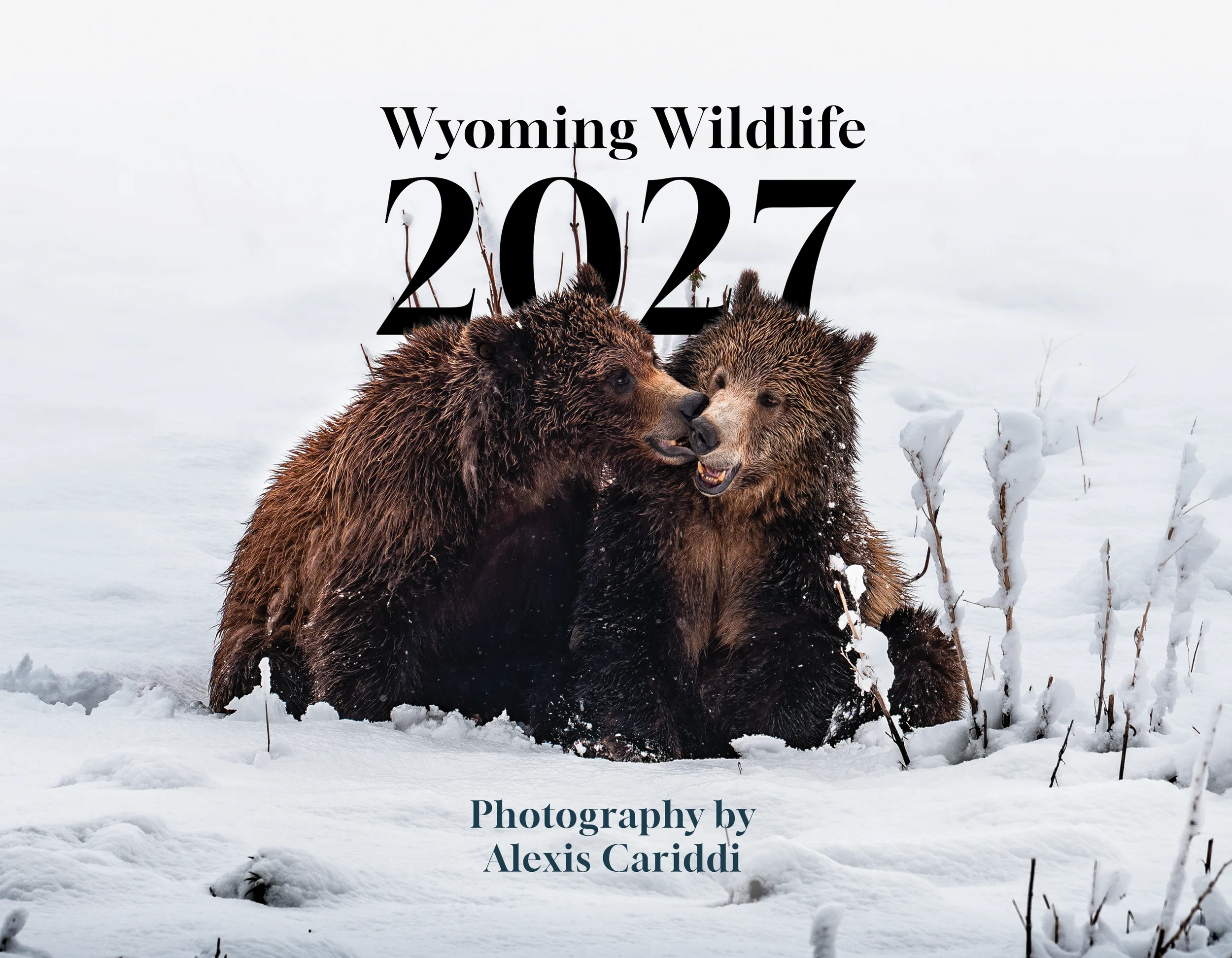 2027 Wyoming Wildlife Calendar | PRE-ORDER