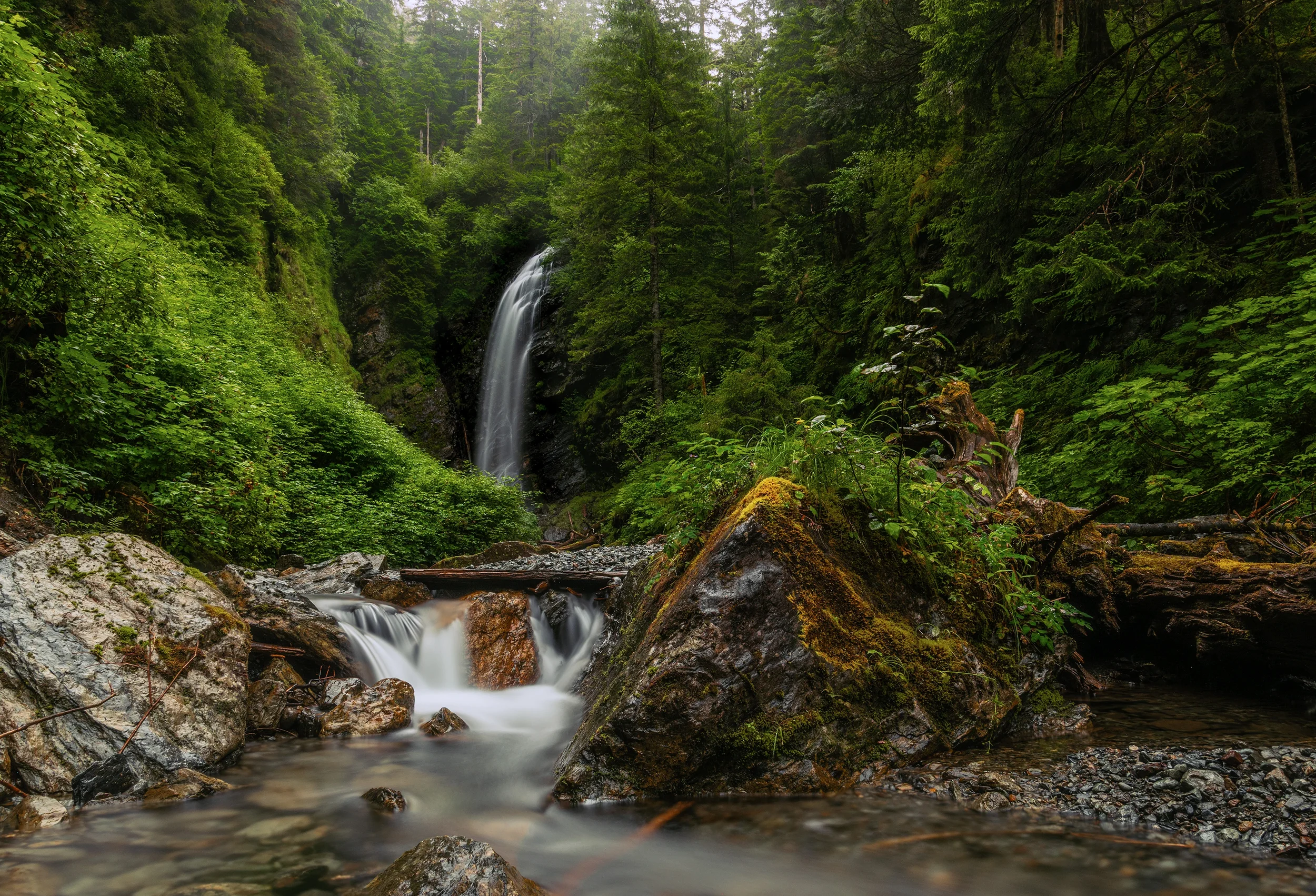 A cascading waterfall flowing through a lush green forest with rocks and a gentle stream in the foreground, in sitka, alaska.