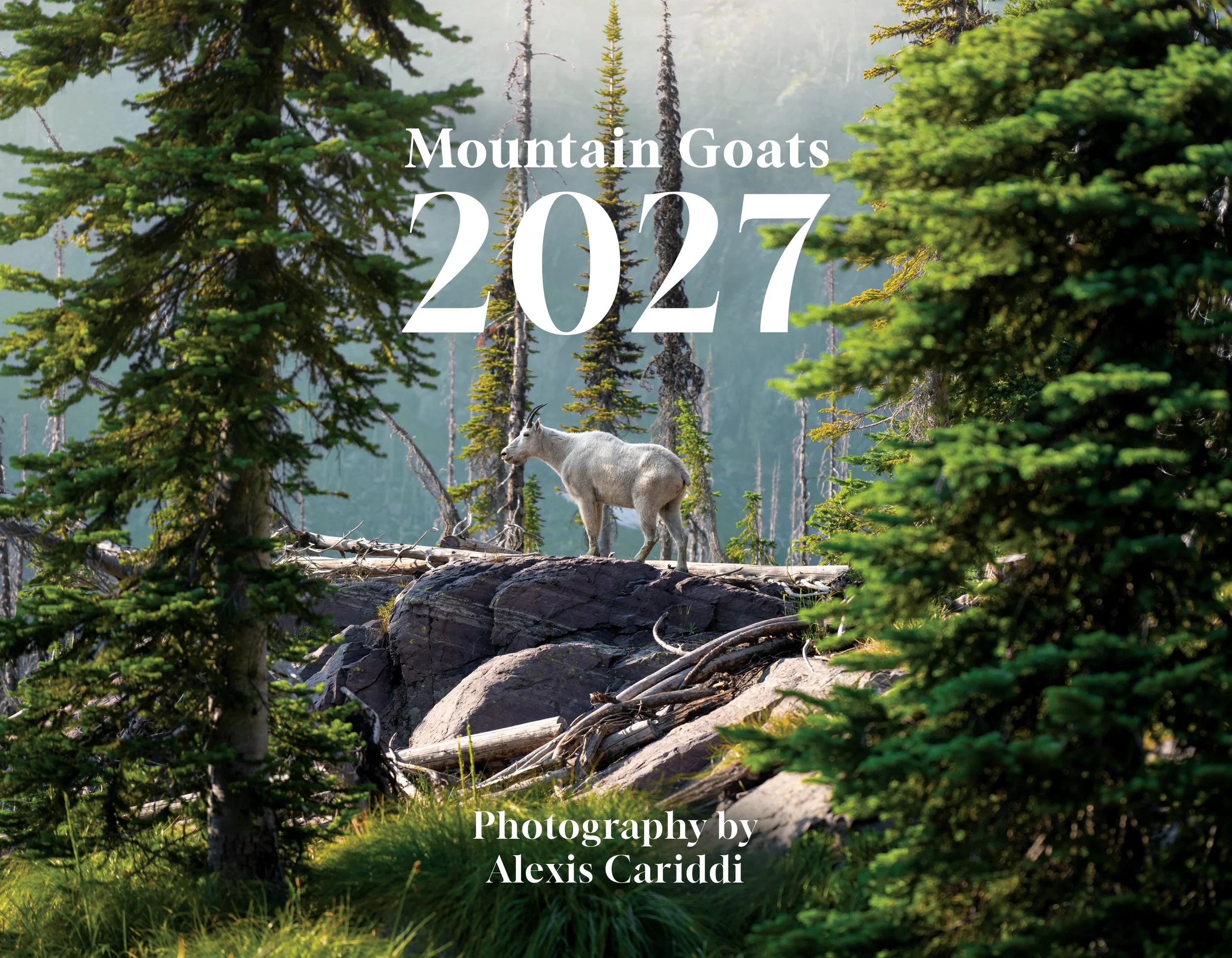 2027 Mountain Goats Calendar | PRE-ORDER