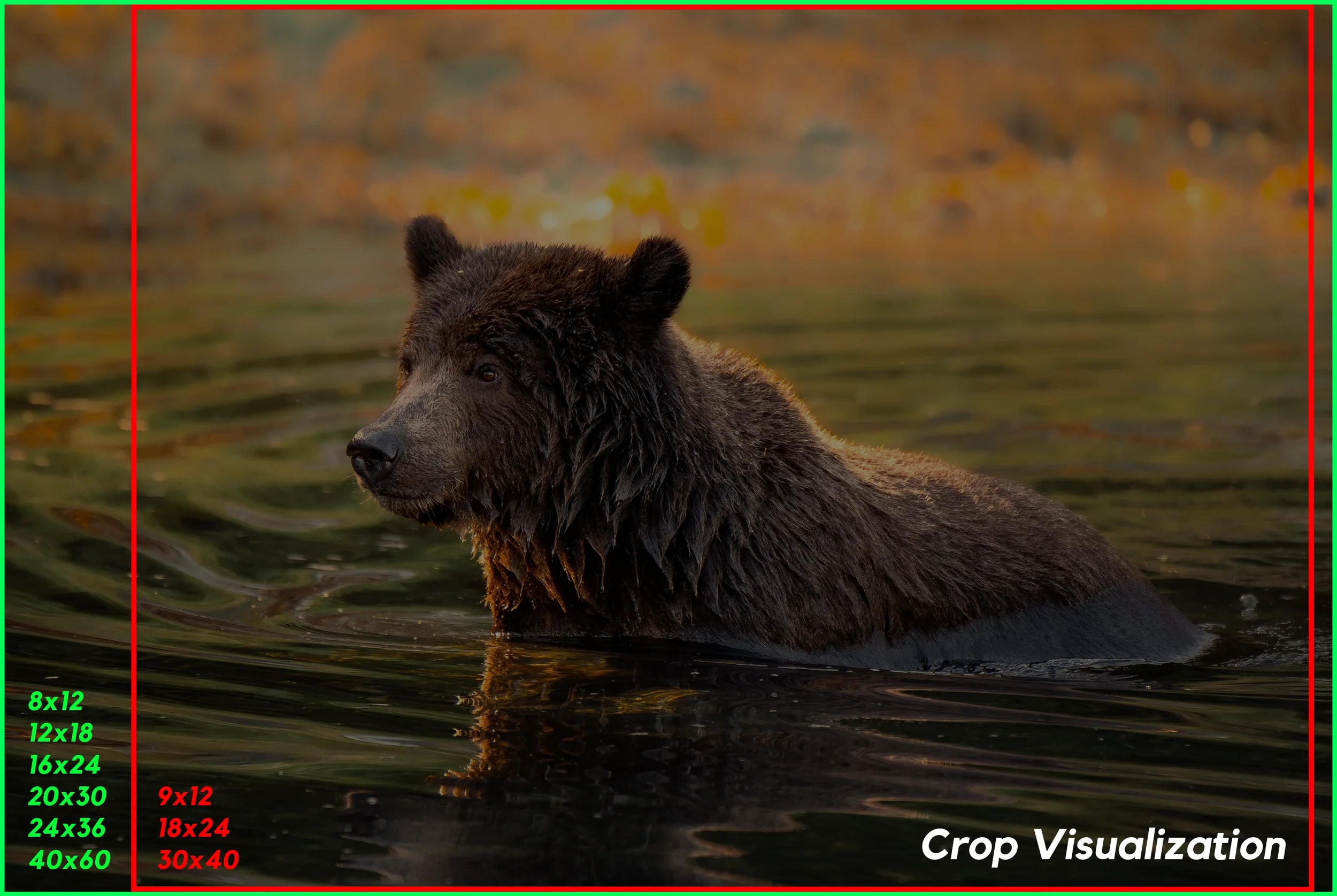 Morning Dip Crop Visualization.webp