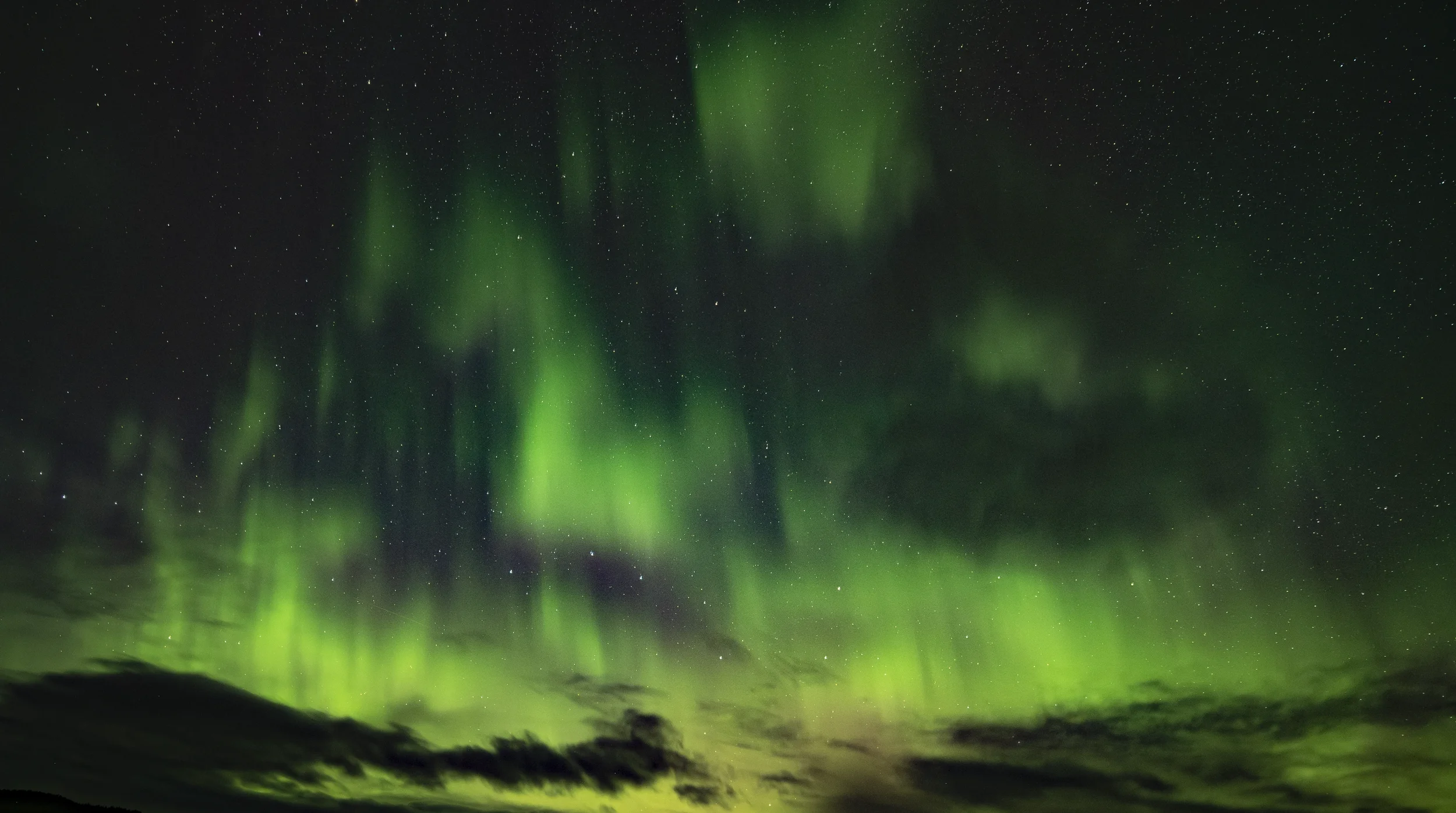 Northern lights against a dark starry sky in alaska