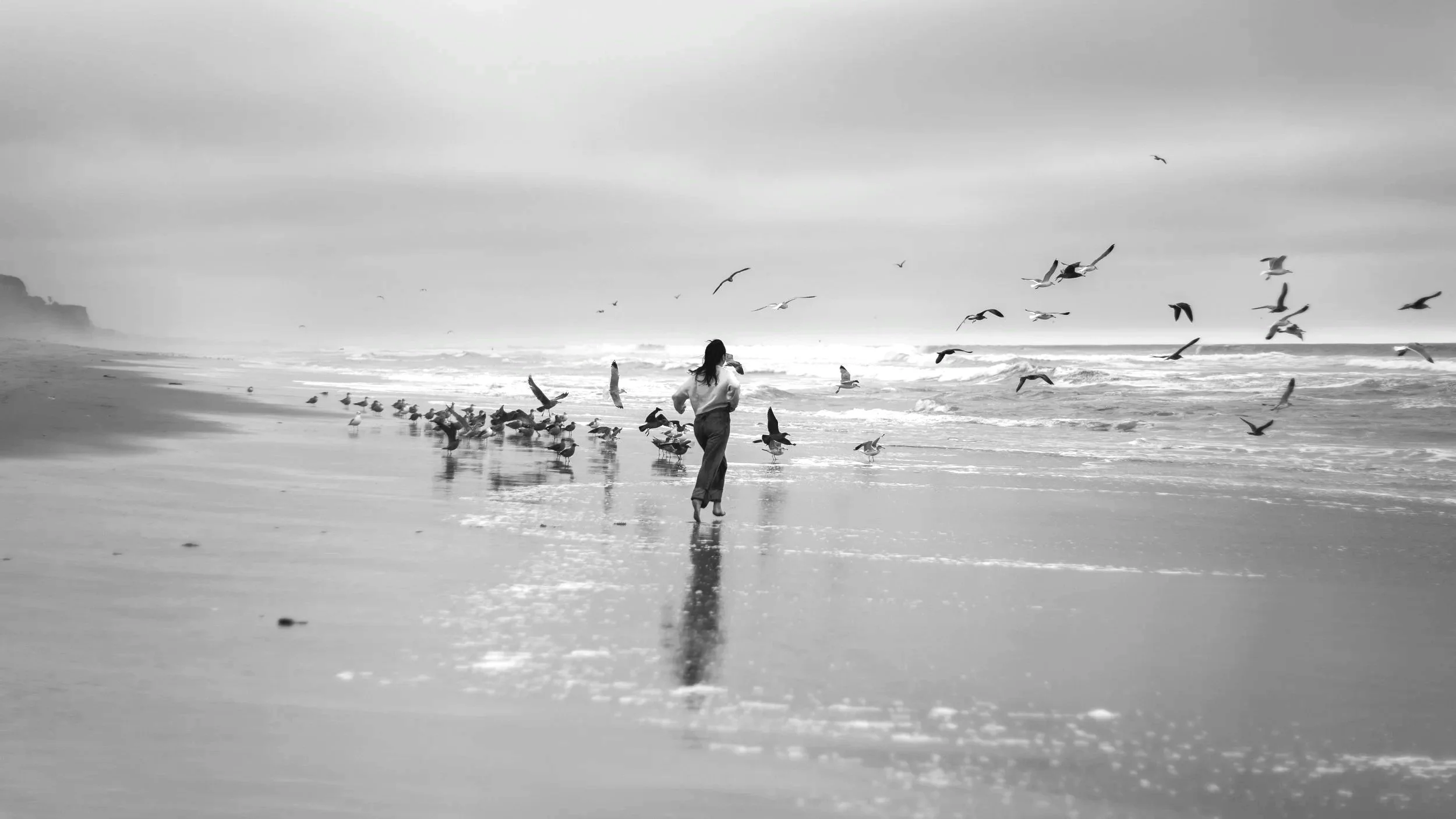 SANTA+CRUZ_18.jpg