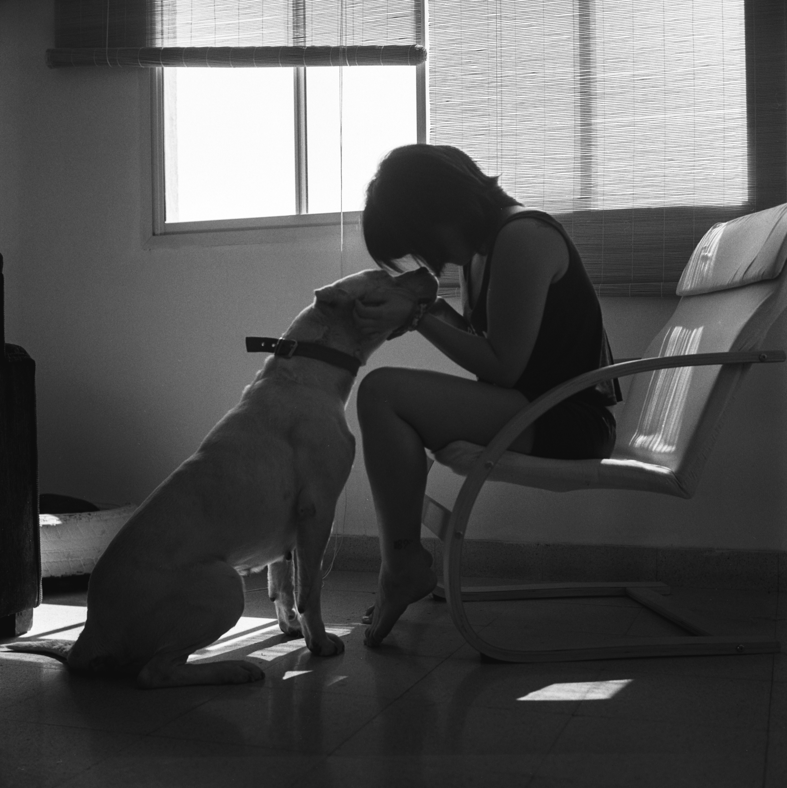 MELI Y NAHUEN FLICKER FULL DOWNLOAD edit.png
