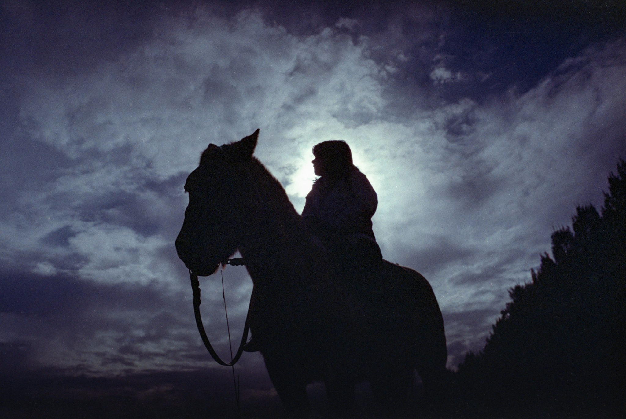 SERE MOON HORSE edit.png