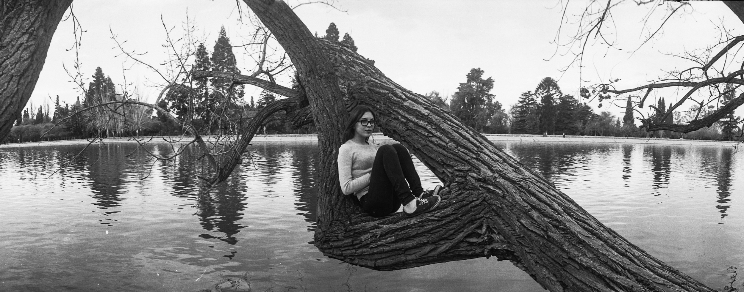 JULIA EN ARBOL FLICKER FULL DOWNLOAD edit.png