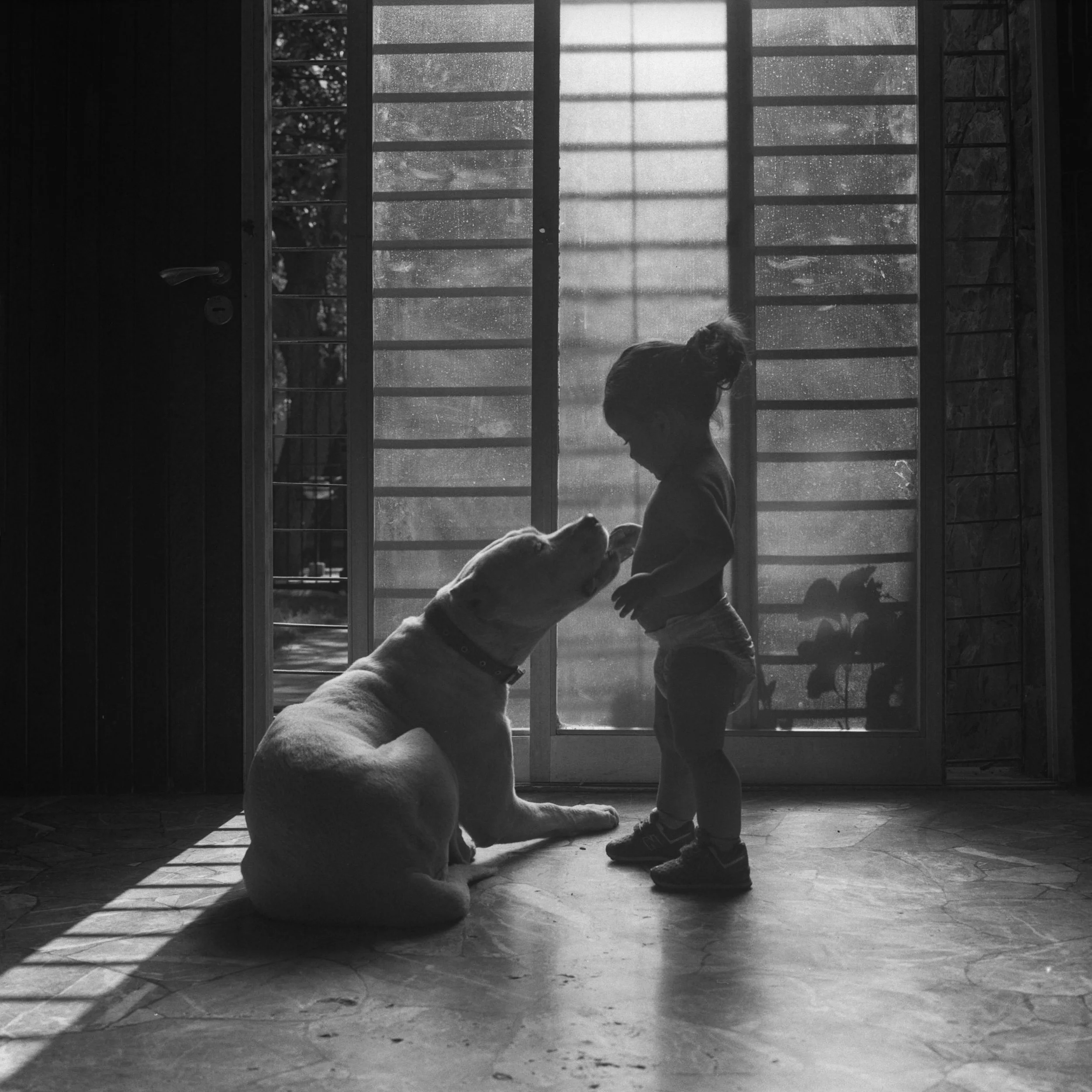 aaaaa img474 copy 2.jpg