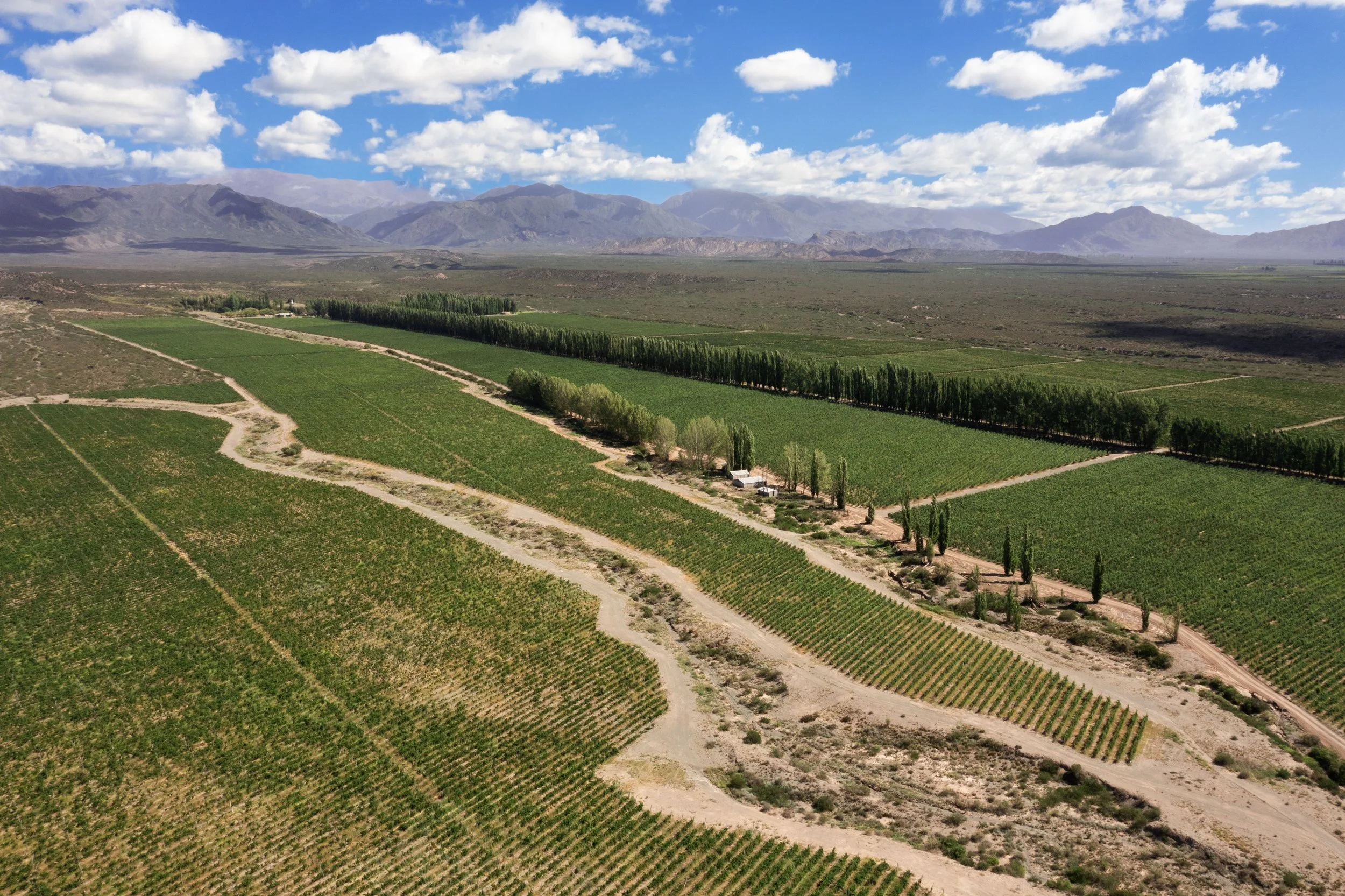 PUTRUELE DRONE_1.jpg