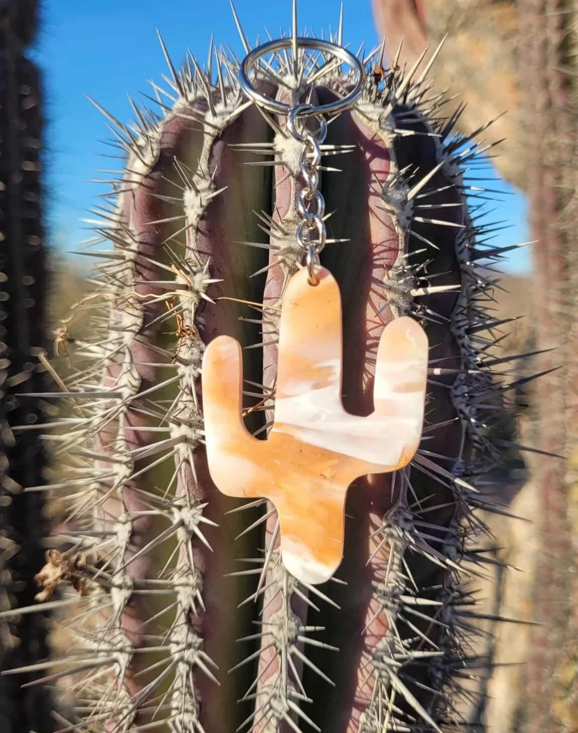 Cacto espinoso con un llavero en forma de cactus colgado en él.
