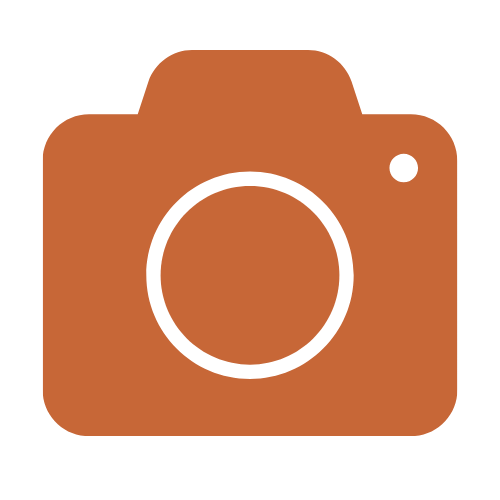 Icon of a brown camera