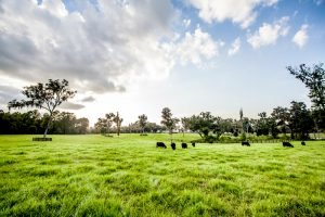 garden-butcher-fort-mccoy-ranch.jpg