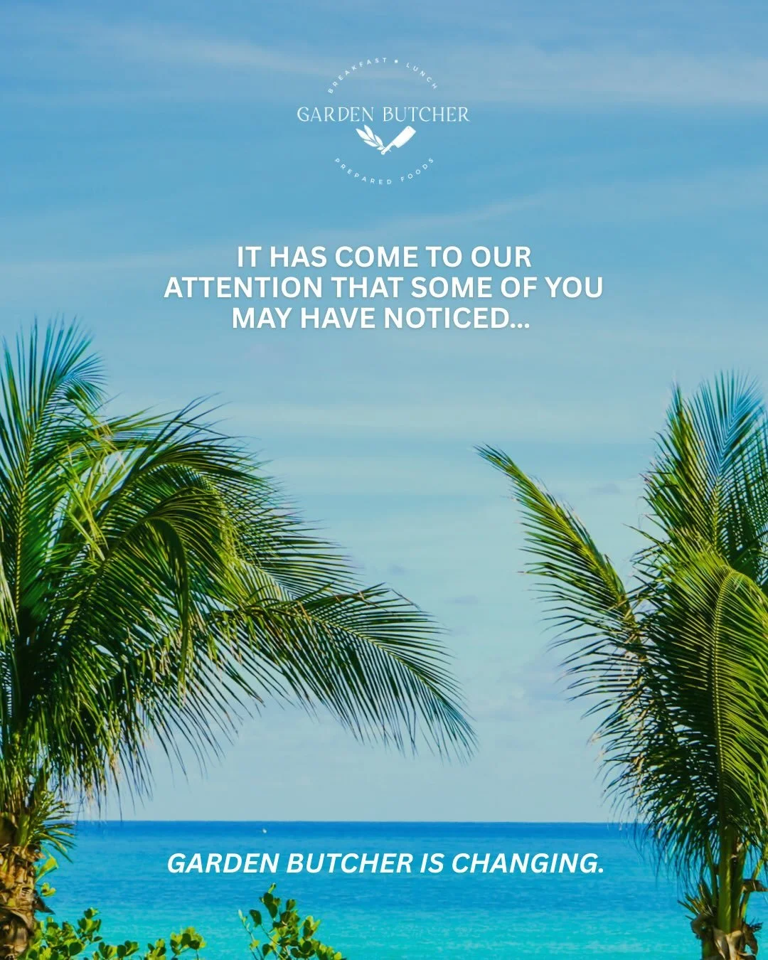 If you&rsquo;ve felt a shift lately&hellip; trust your intuition 👀
Scroll through to see what we&rsquo;ve been building.

This community &mdash; your support, your excitement, your trust means everything.
It was an honor to serve our seed-oil-free d