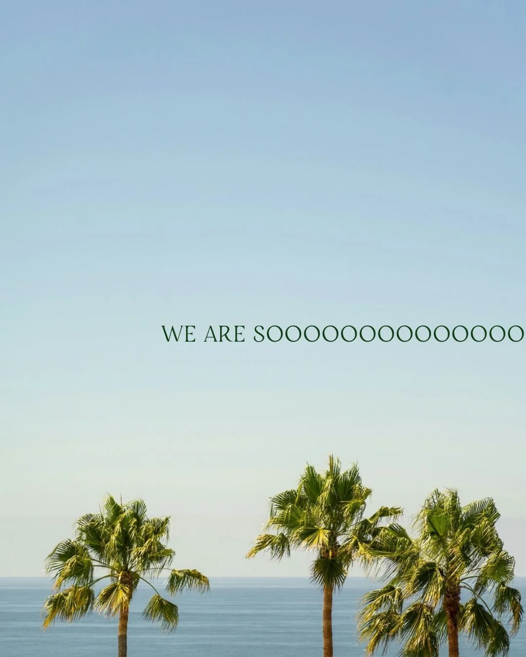 Swipe to see what we are so excited about 👀

@gardenbutcher West Palm Beach will be here before you know it.... stay tuned.🌴
.
.
.
gardenbutcher westpalmbeach newlocation gardenbutcherwestpalmbeach seedoilfree locallysourced