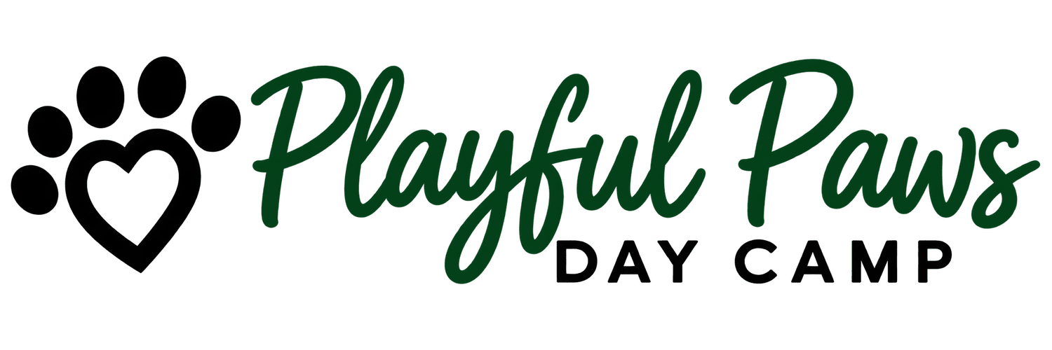 Playful Paws Day Camp