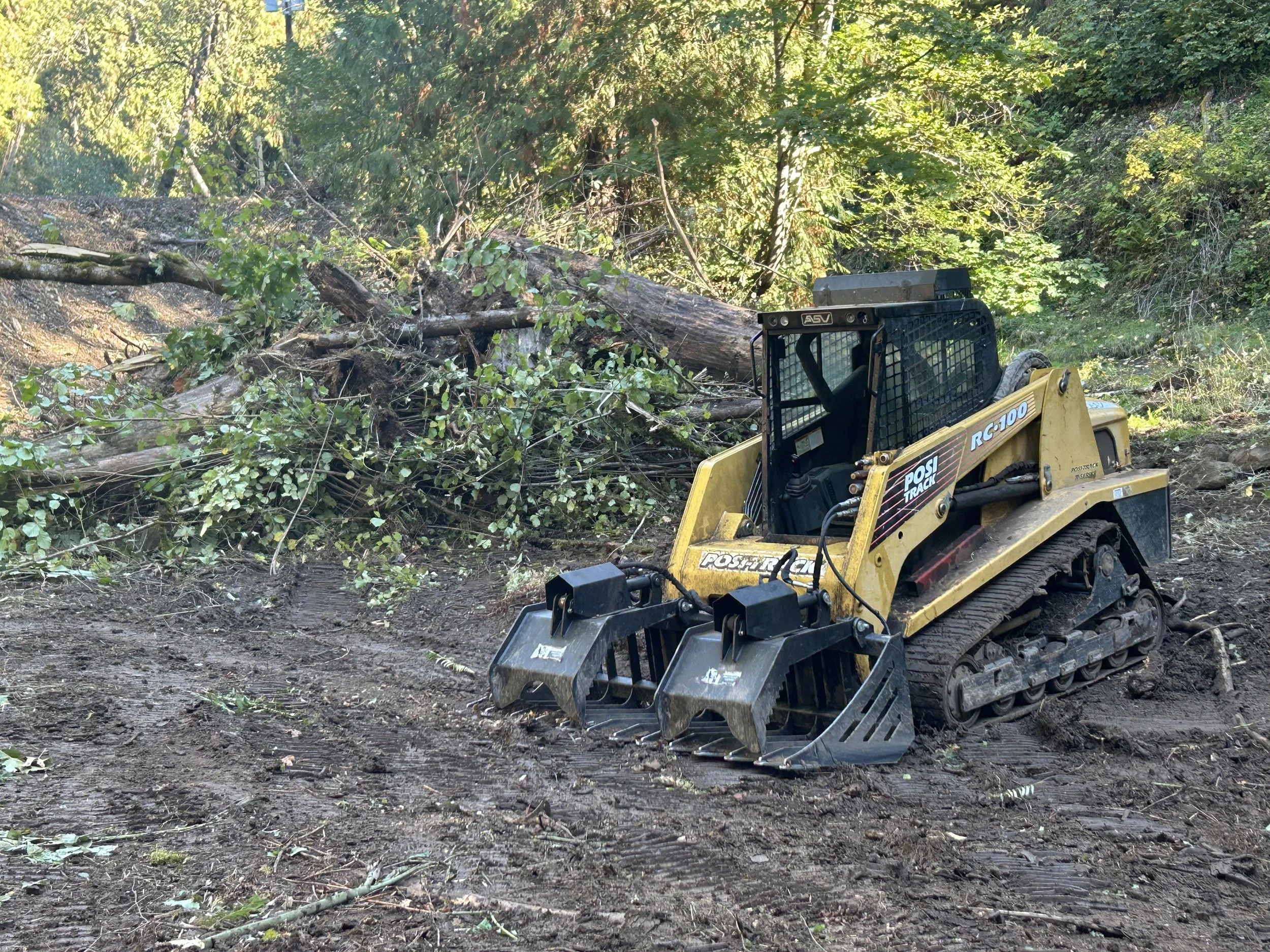 A small yellow and black track loader in a forest clearing with a fallen tree in the background. Land clearing, brush clearing
