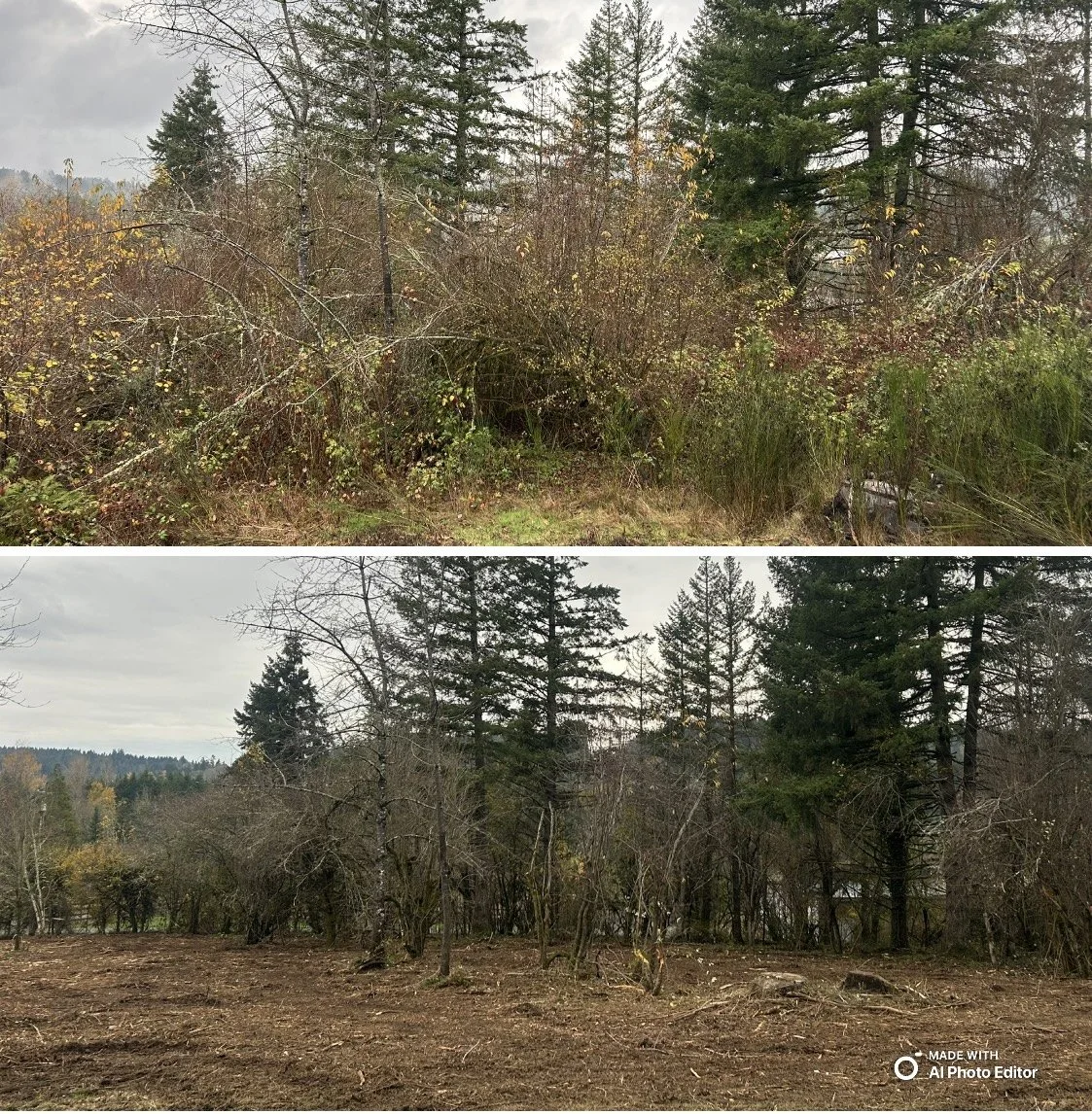 wildfire prevention &amp; forestry mulching