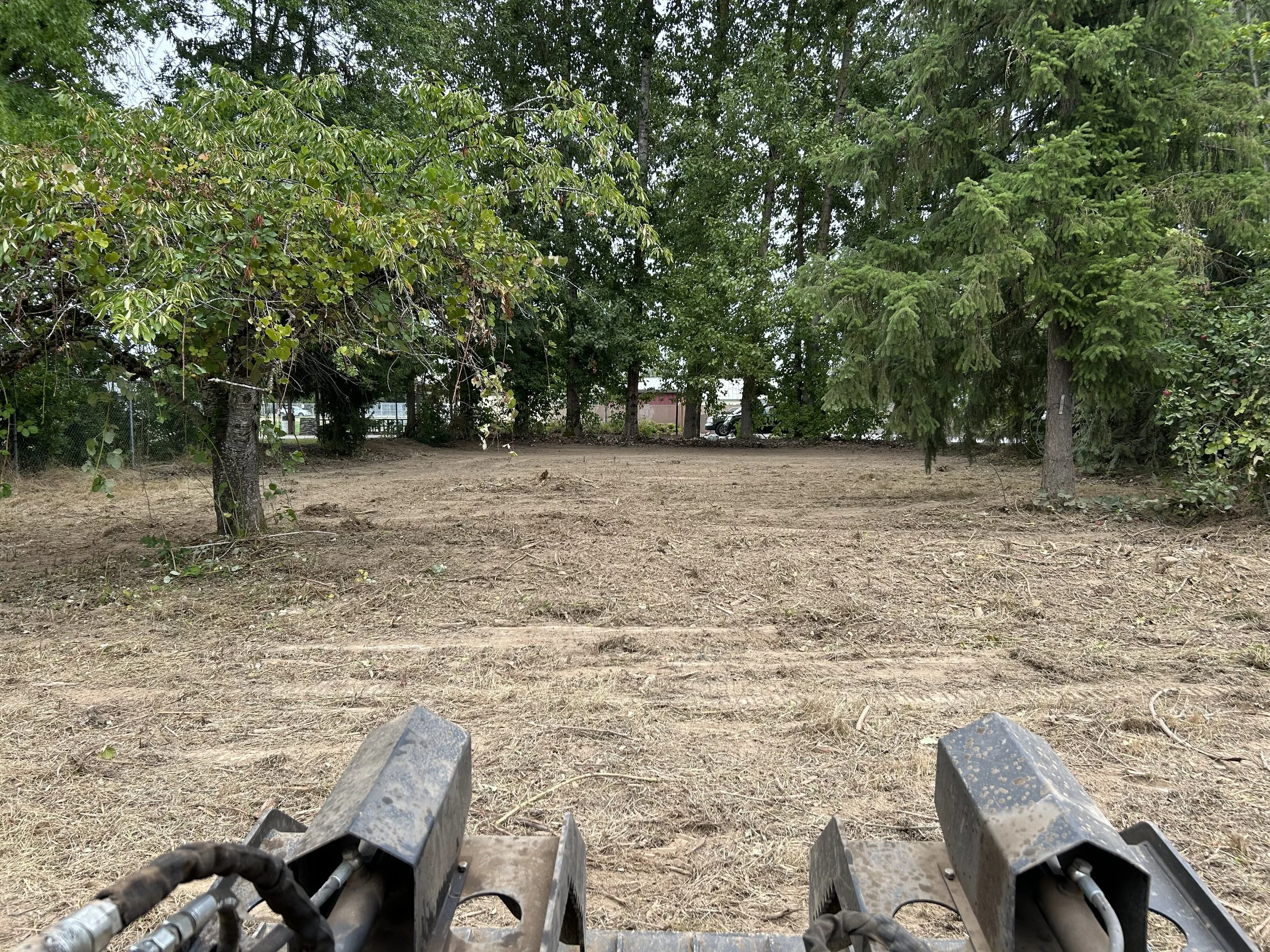brush cleared and trees removed from overgrown area
