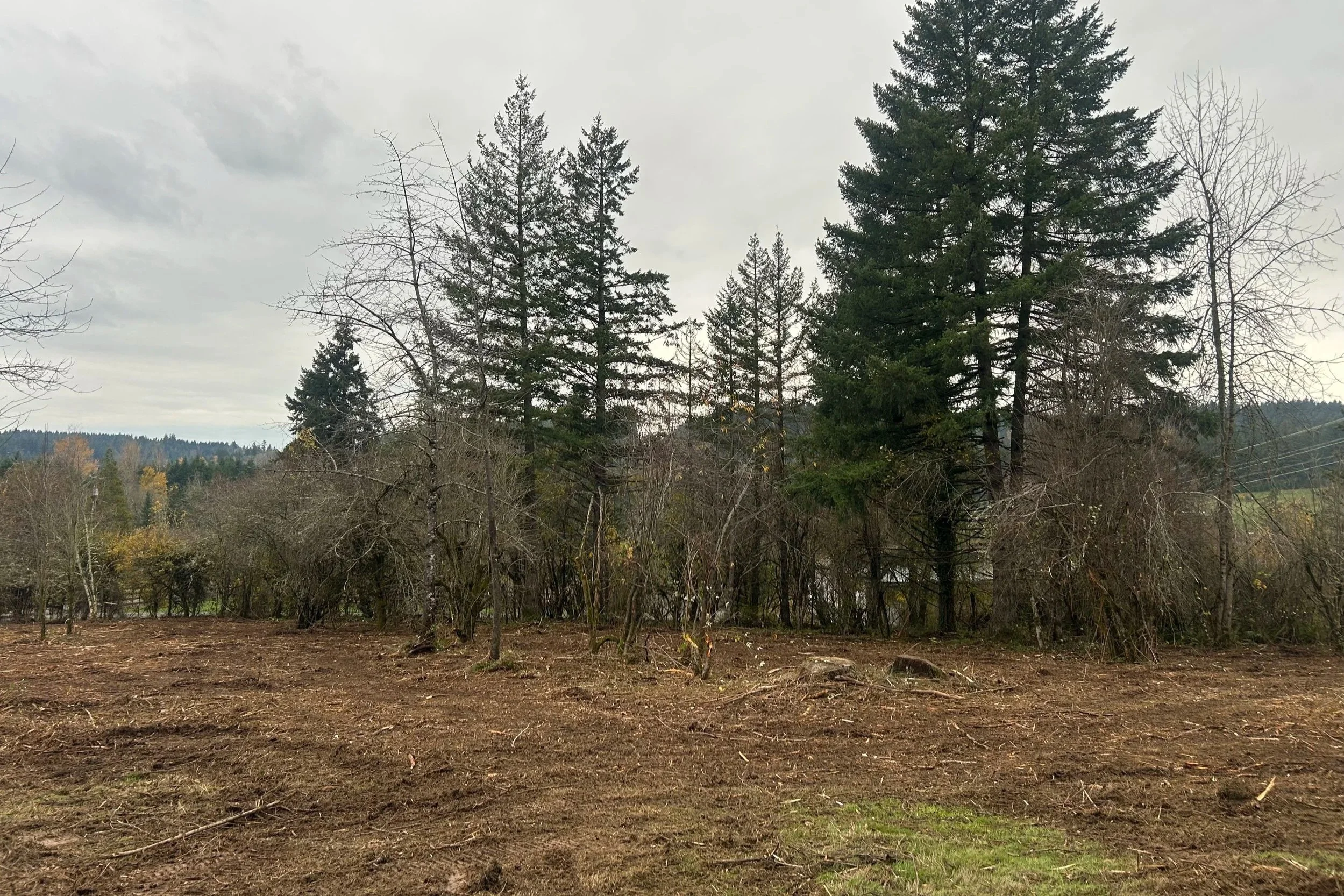 property in oregon city that had the excess growth mowed down and removed.