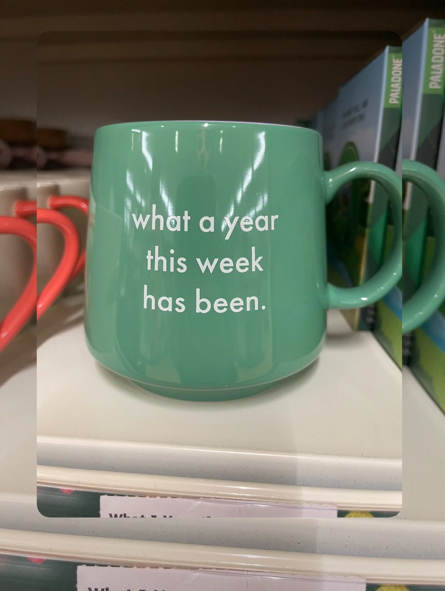 &ldquo;What a year this week has been.&rdquo;

I saw this on a mug in the supermarket and honestly&hellip; it summed things up.😅

I&rsquo;ve been a little quieter on here lately - life has been full. There&rsquo;s been grief, change, and all the qui