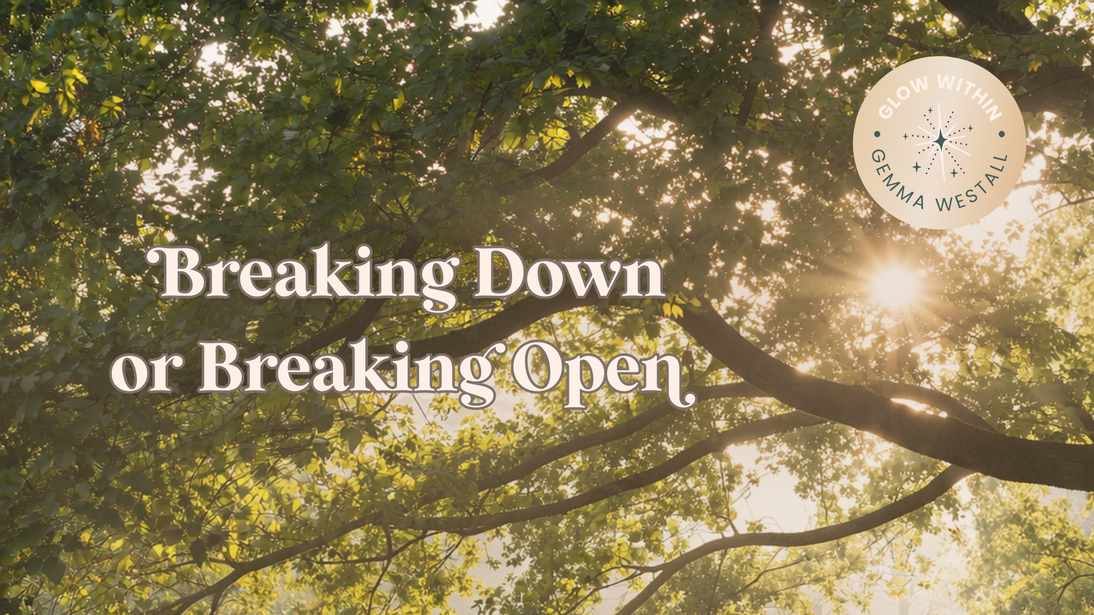 viewpoint from standing below a tree in full leaf, bright sunlight glowing through the branches.  The Title 'breaking up or breaking down' in clean font with soft cream colour.