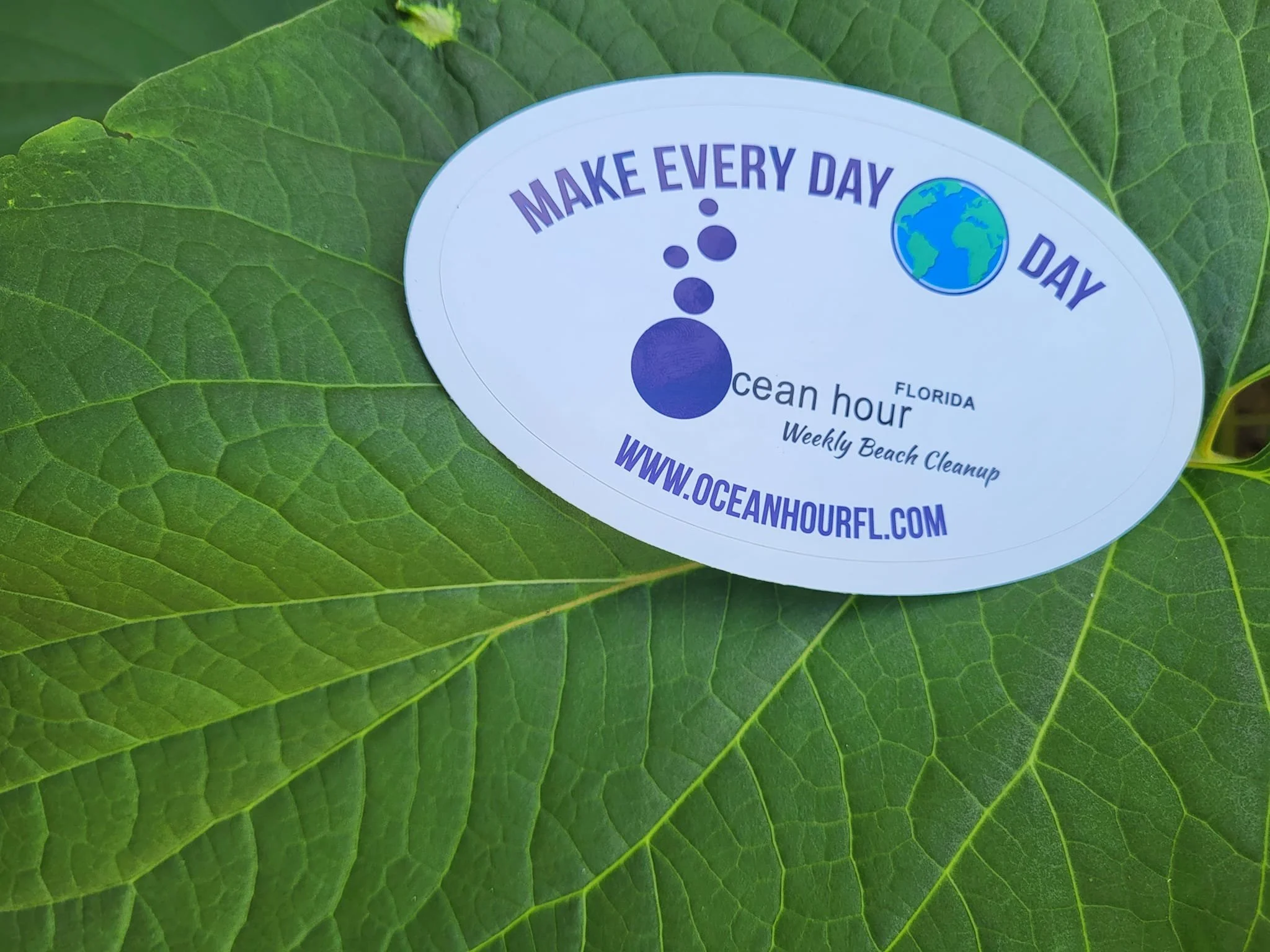 makeeverydayearthday_oceanhour.jpg