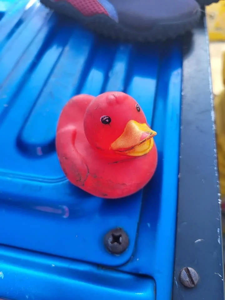 oceanhour_pinkducky.jpg
