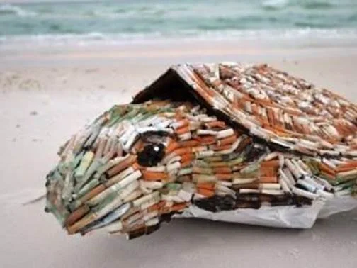 turtle_cigarettebutts_oceanhour.png