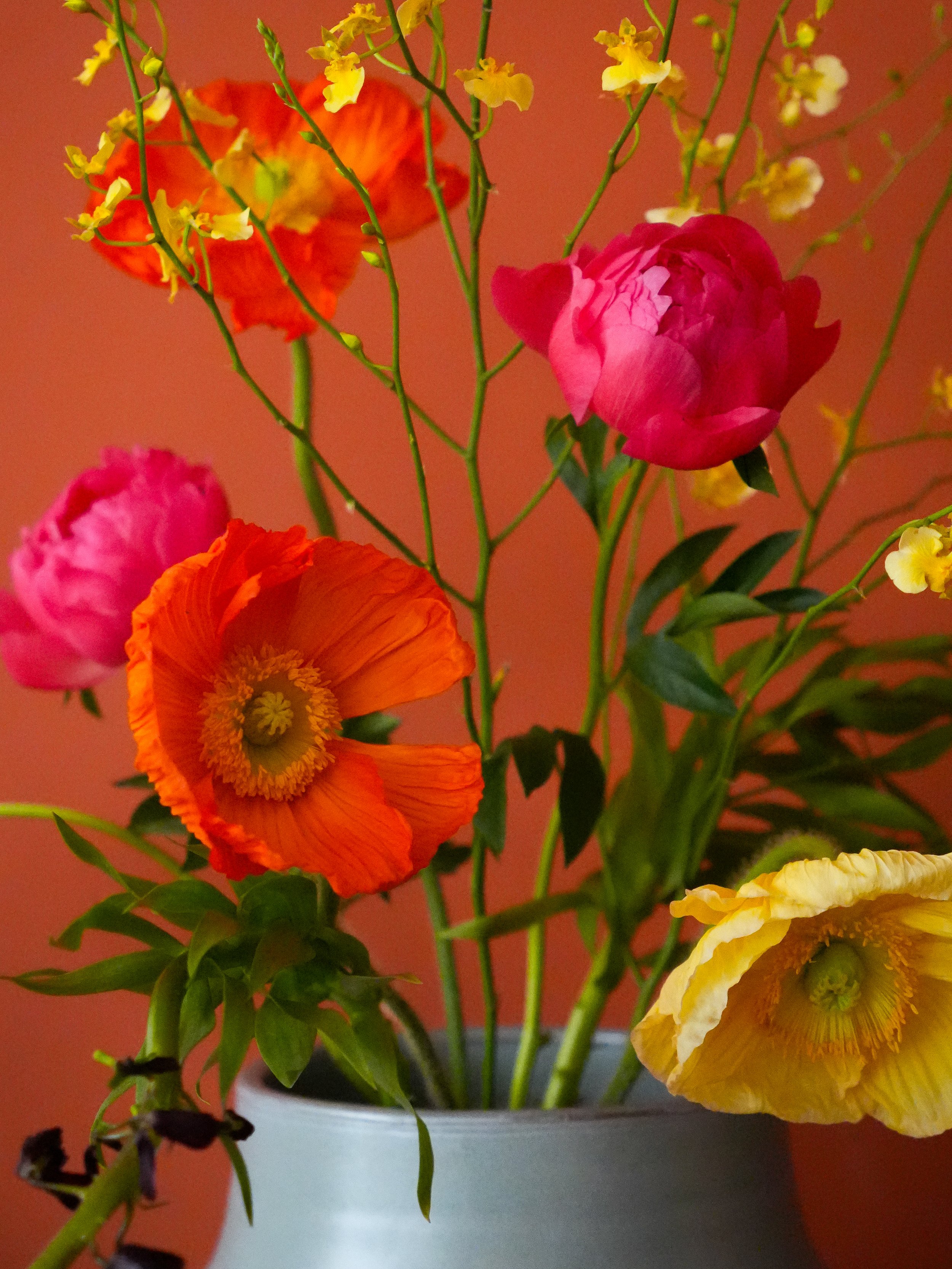 DSC00418.jpg