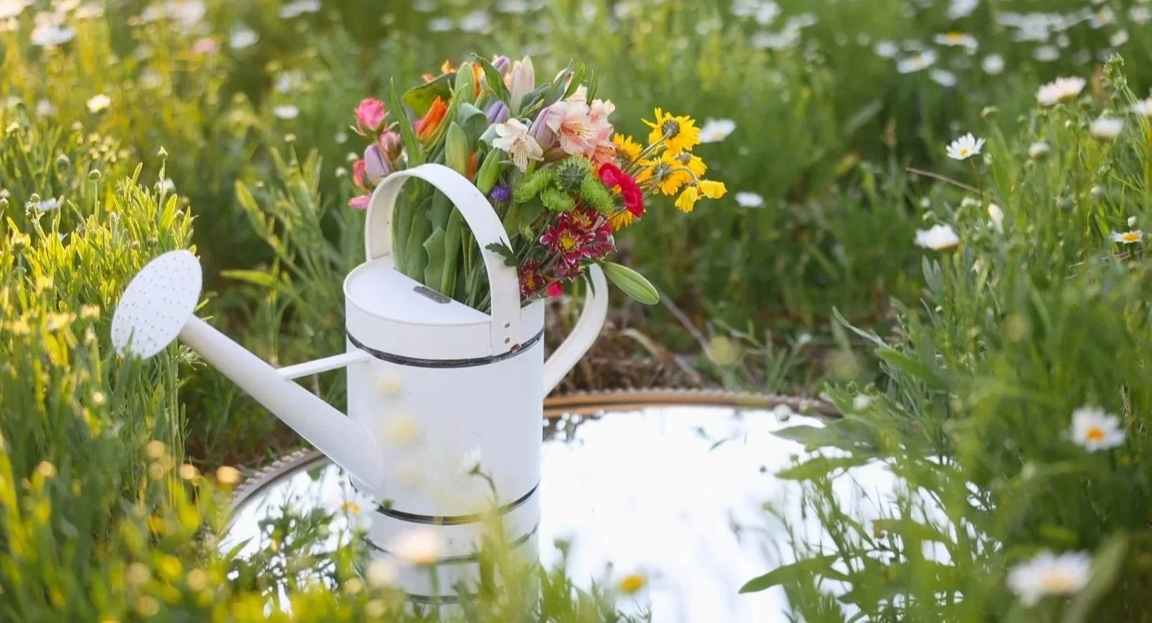 Flowers in a watering can sitting on a mirror in a field.