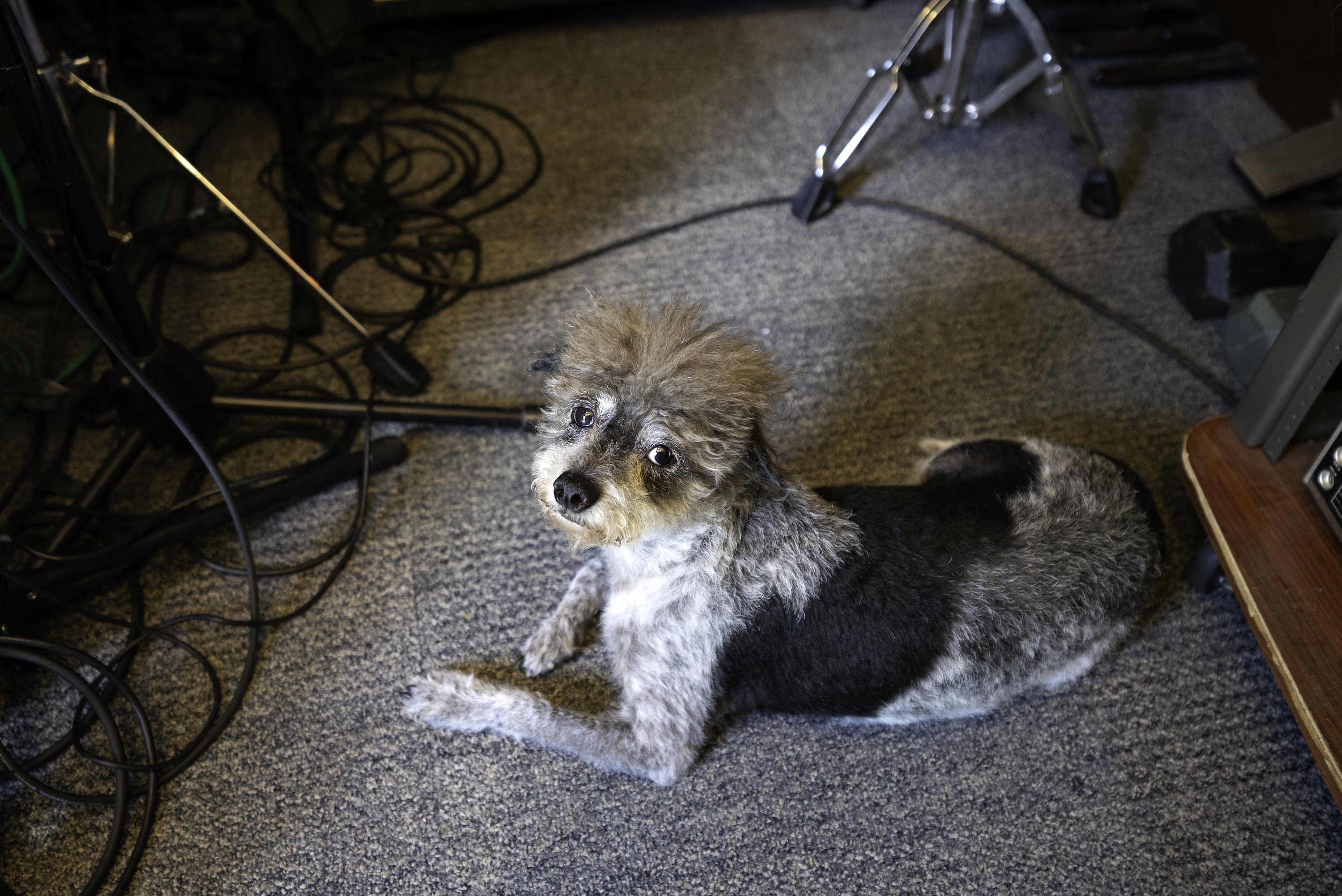 Grampa in Studio.jpg
