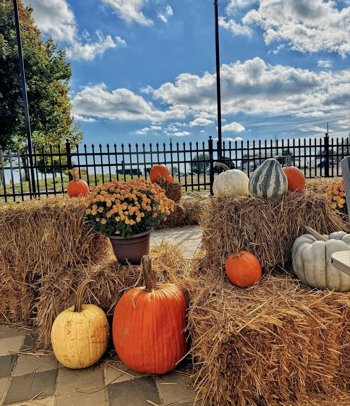 OKTOBERFEST AT THE BREWERY