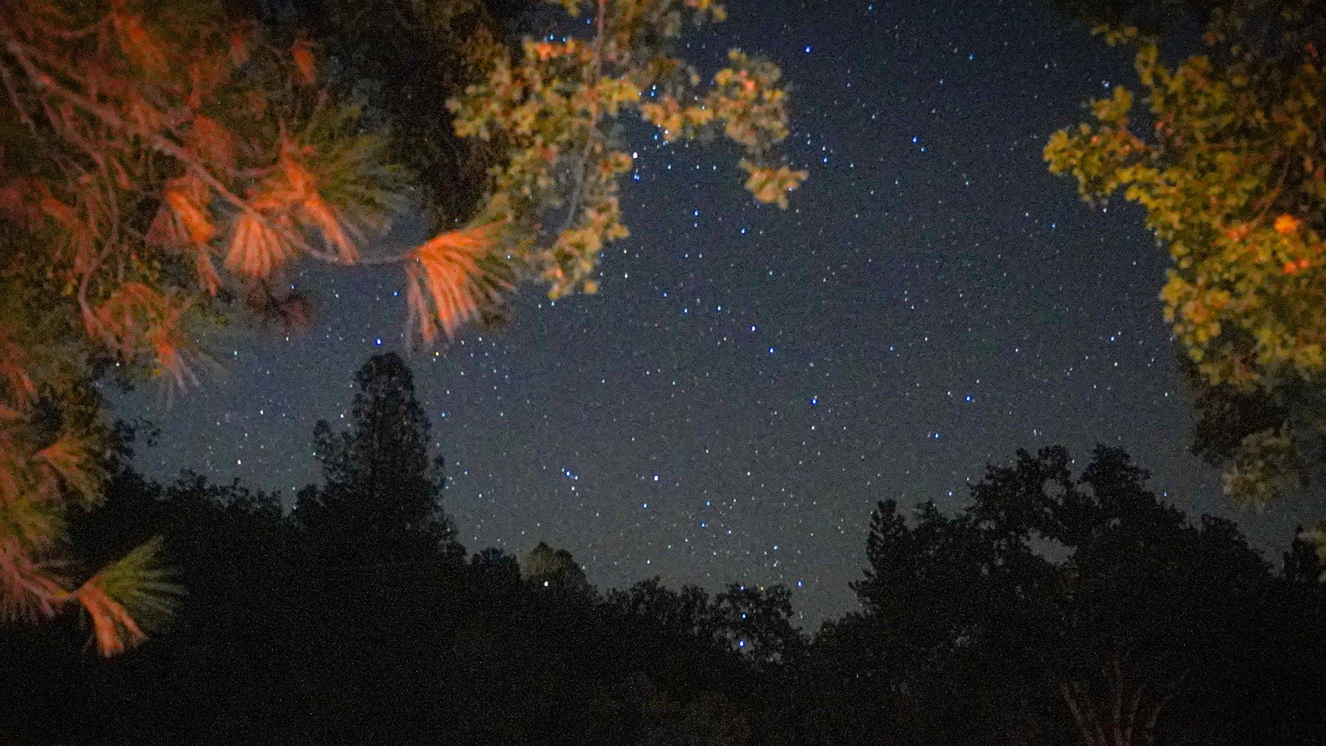 Camp_Night_Stars.jpg