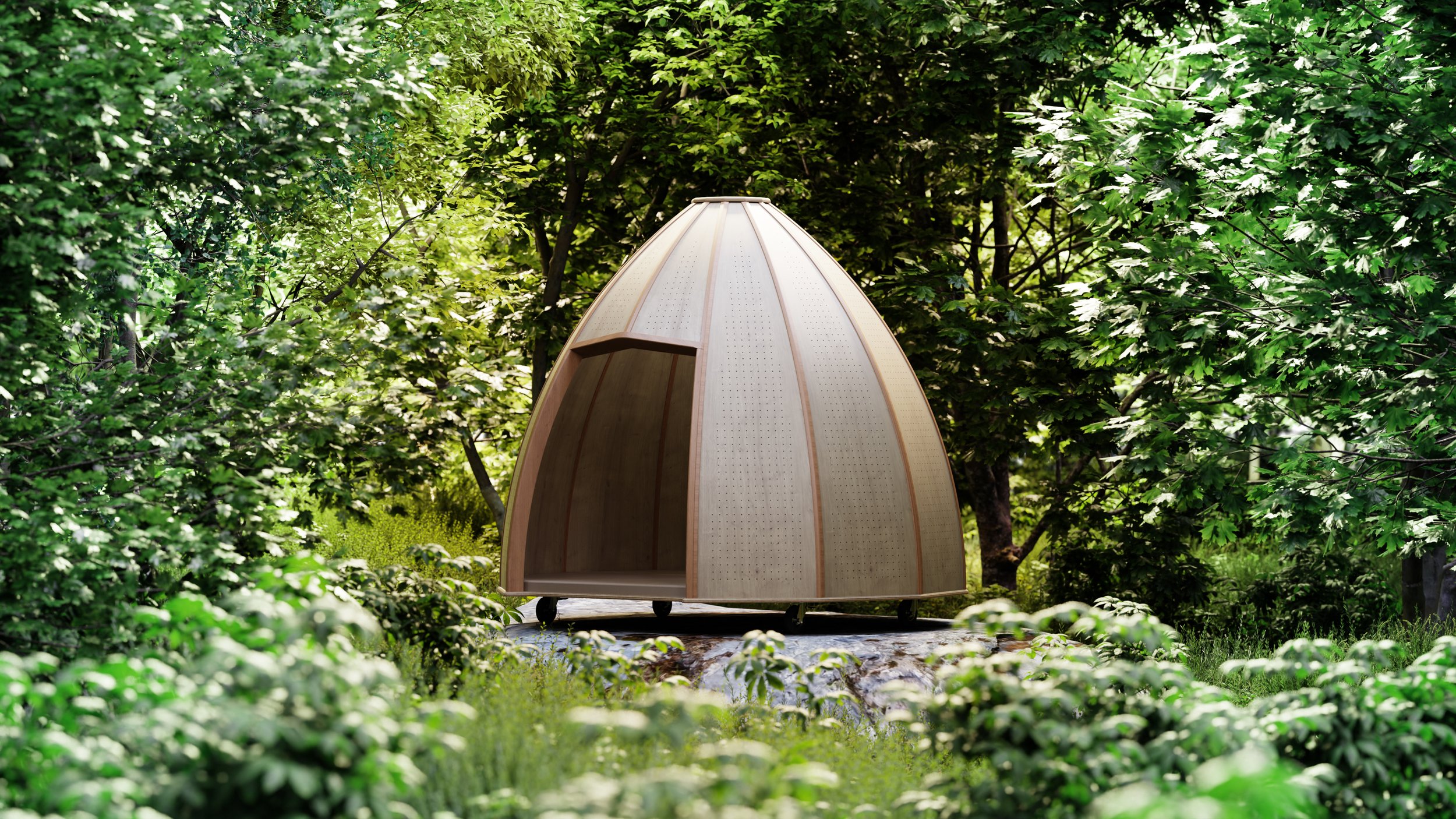 Ambiance_Dôme_Forêt.jpg