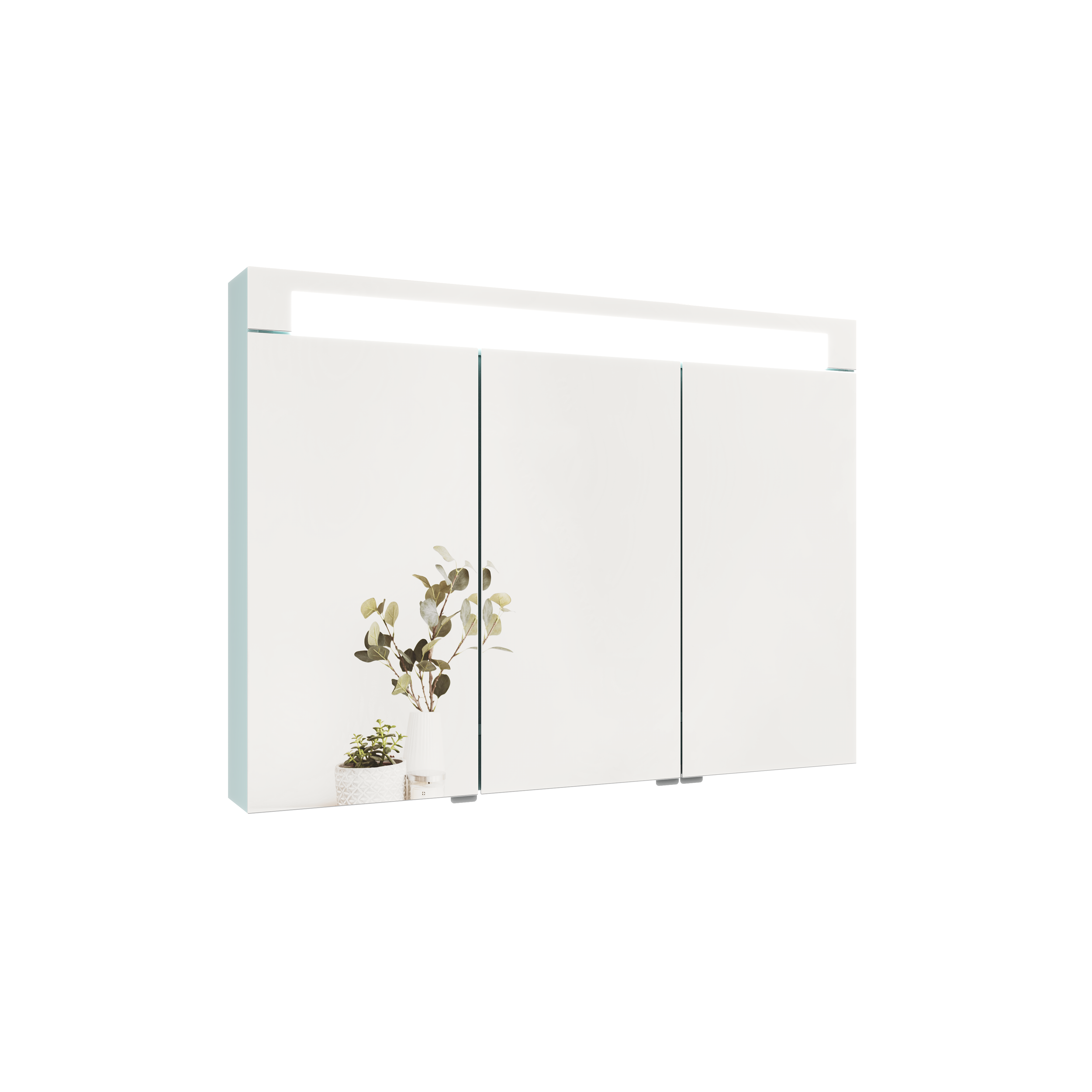 armoire blanche avec miroirs et plantes en pot devant