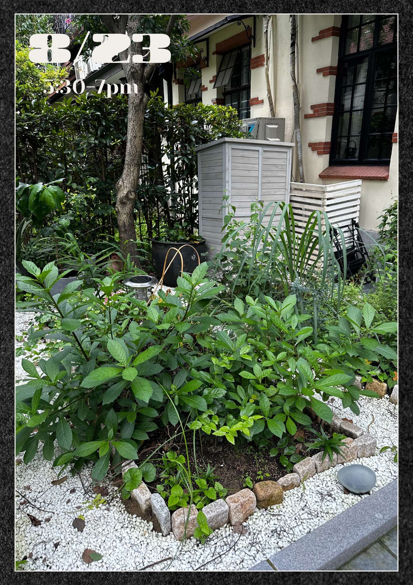 Herb Gardening & Cooling Tea