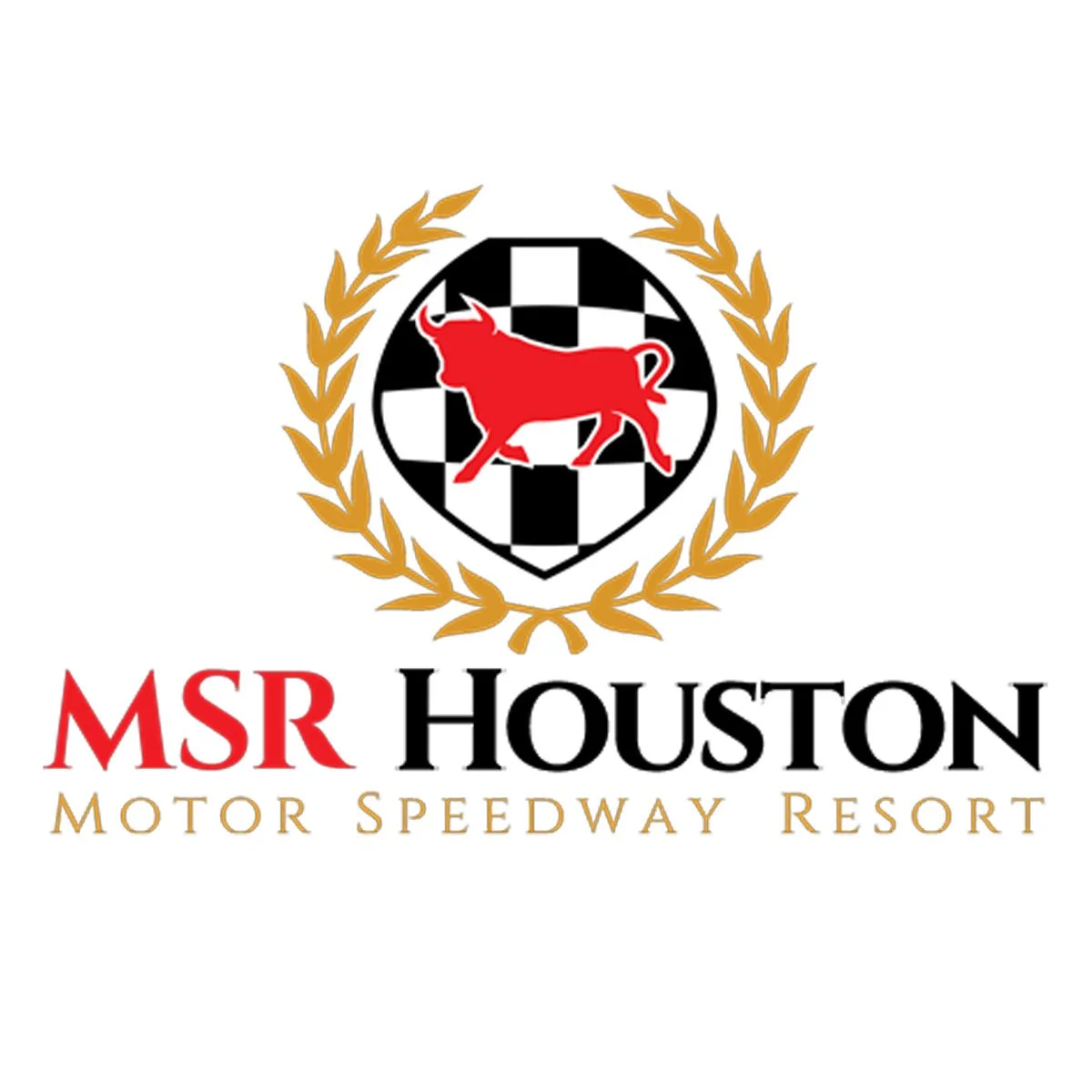 MSR Houston Logo.jpg
