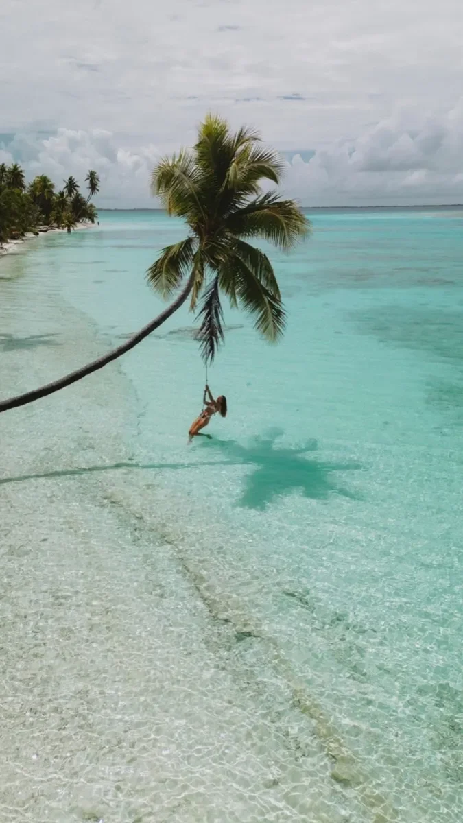 palm-swing-turquoise.nIQub9X7_ZOkJWc.webp