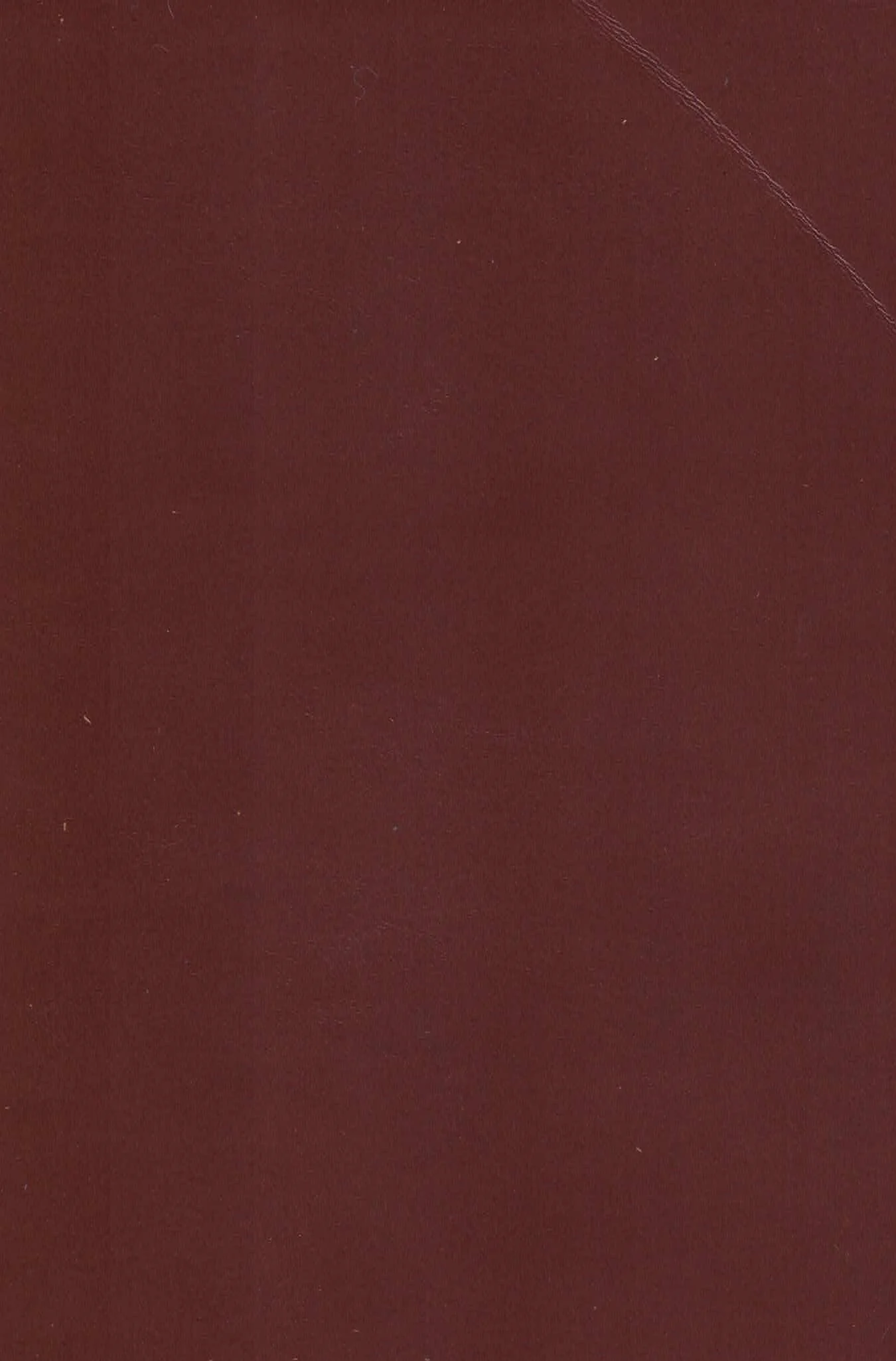 RINNOVO BEYOND THE BROWN.jpg