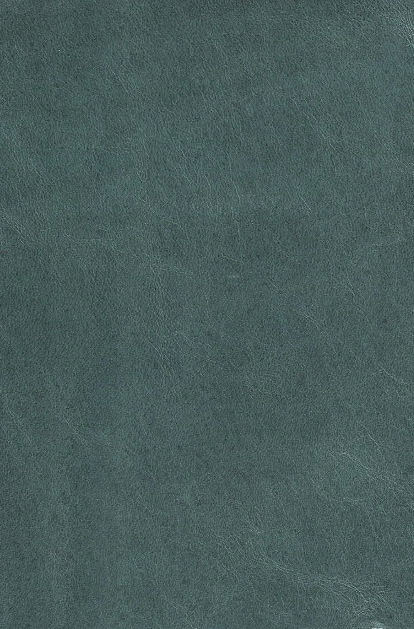 MONT BLANC RAINFOREST.jpg