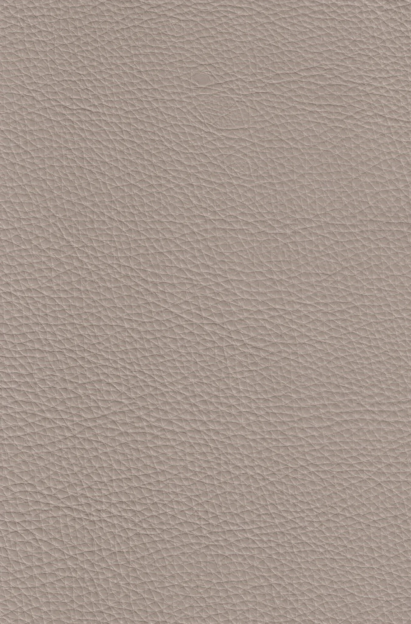 MAMMOTH GREY TAUPE.jpg