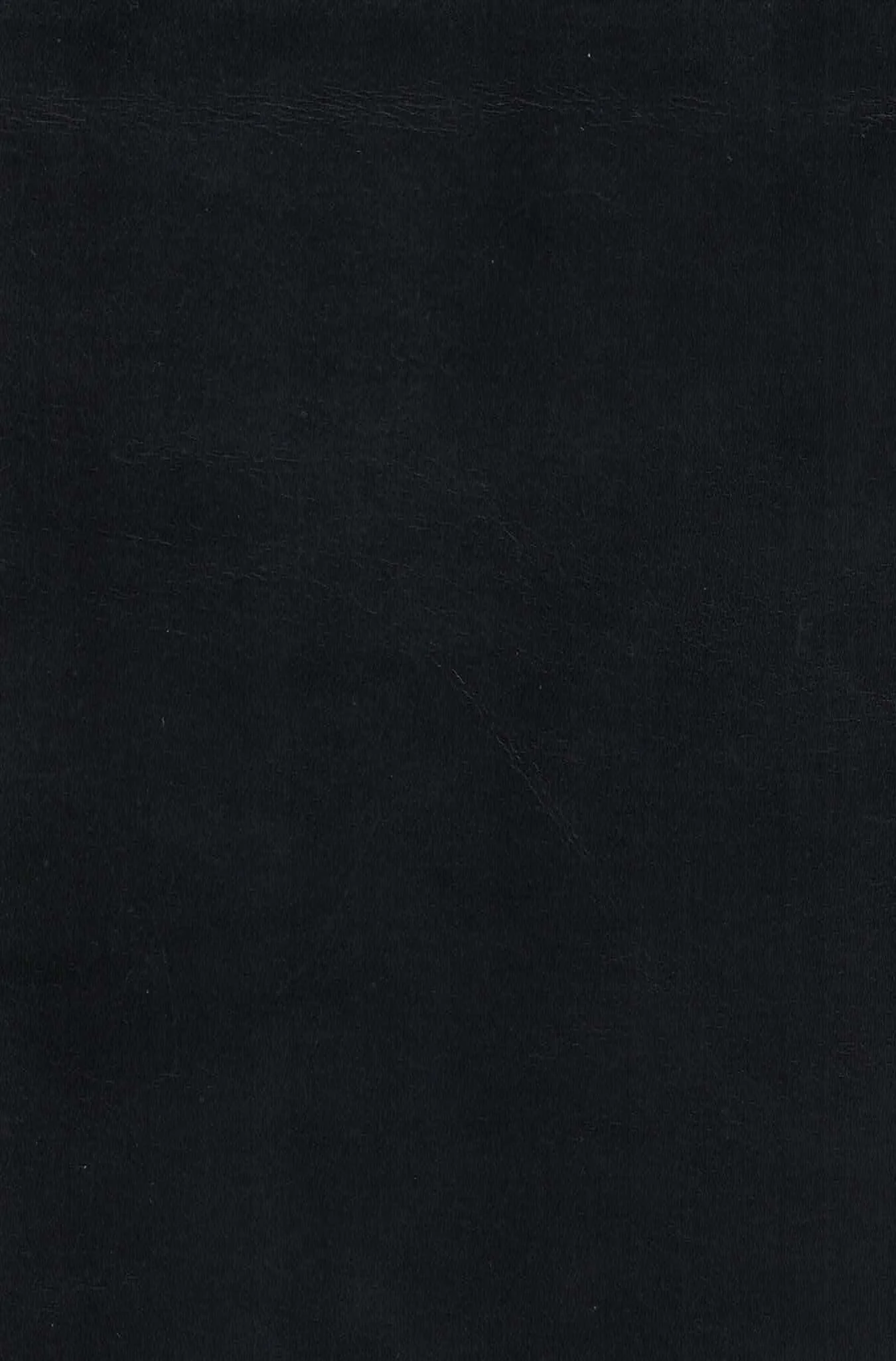 MADRID OBISIDIAN.jpg