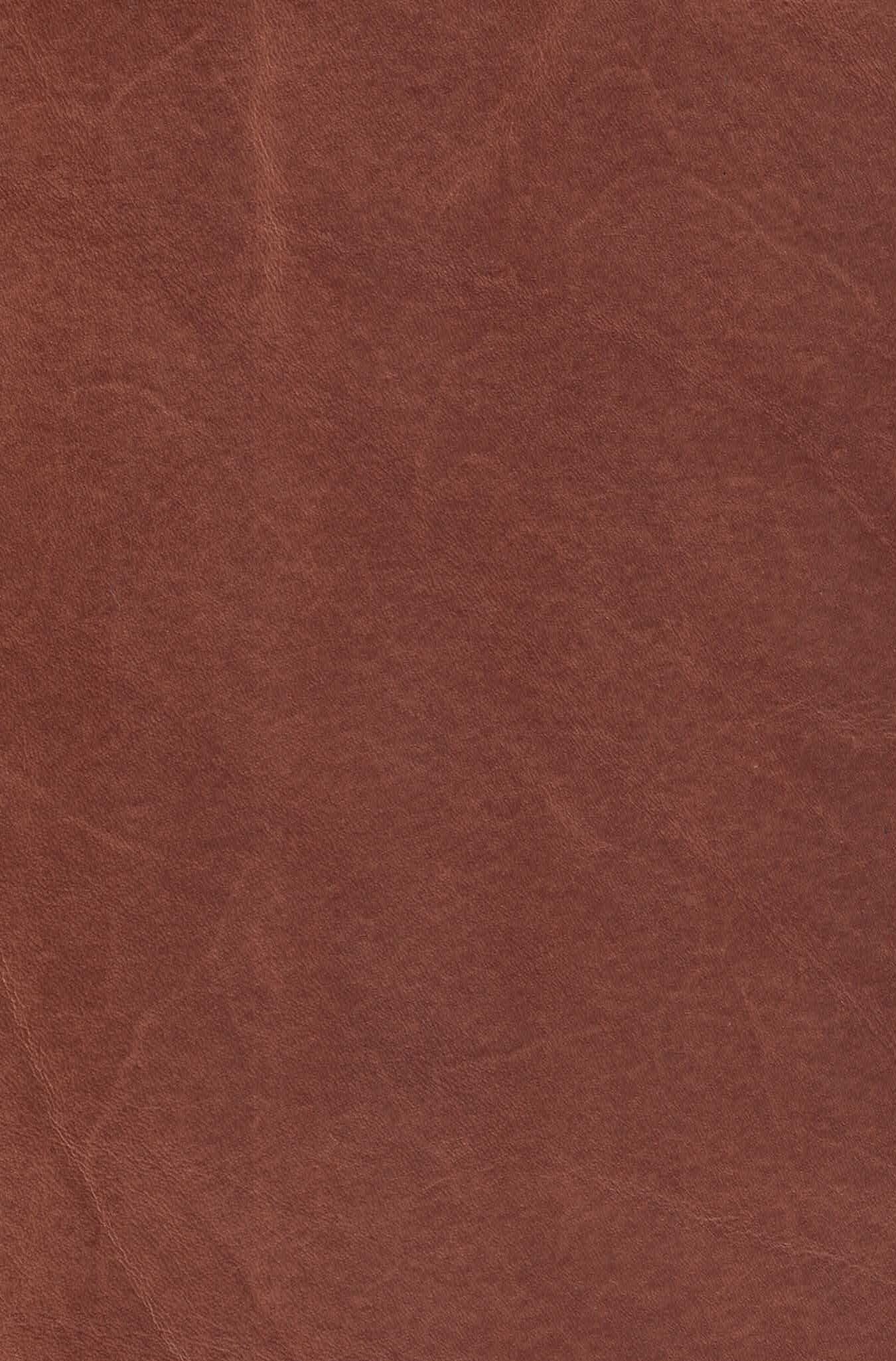 MONT BLANC SYCAMORE.jpg