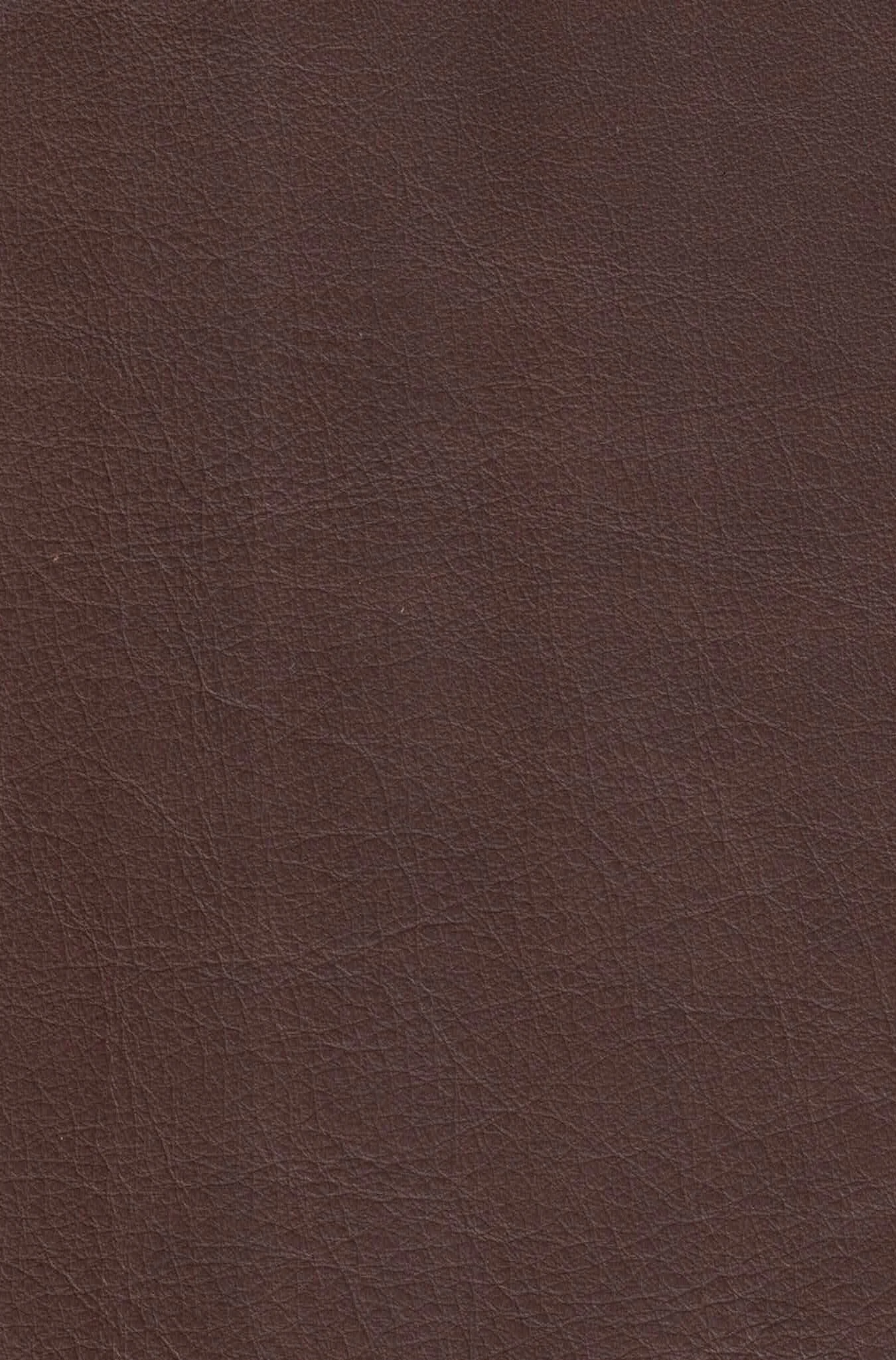 NO REGRETS HEART OF BROWN.jpg