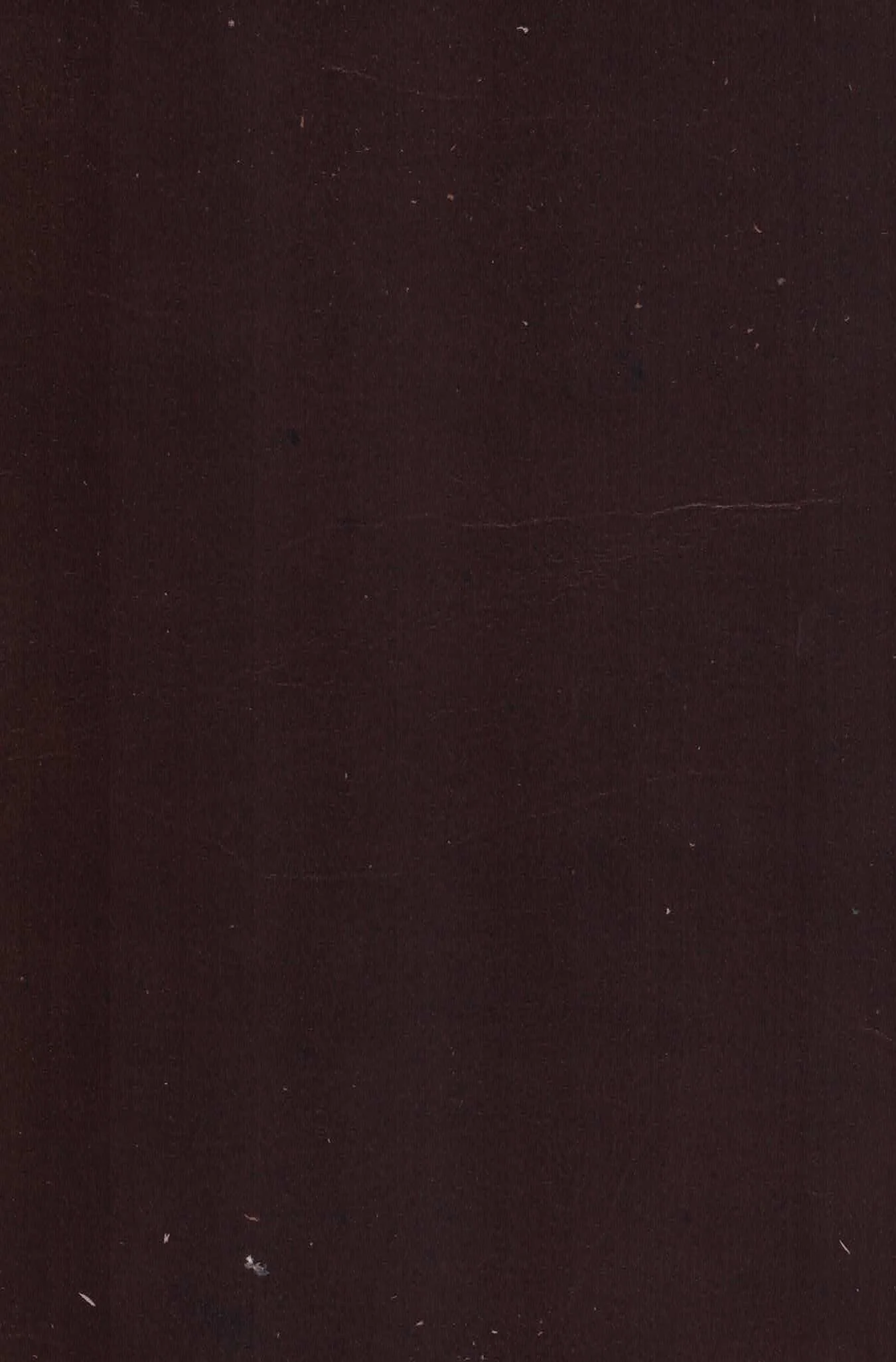 SEQUOIA ESPRESSO.jpg