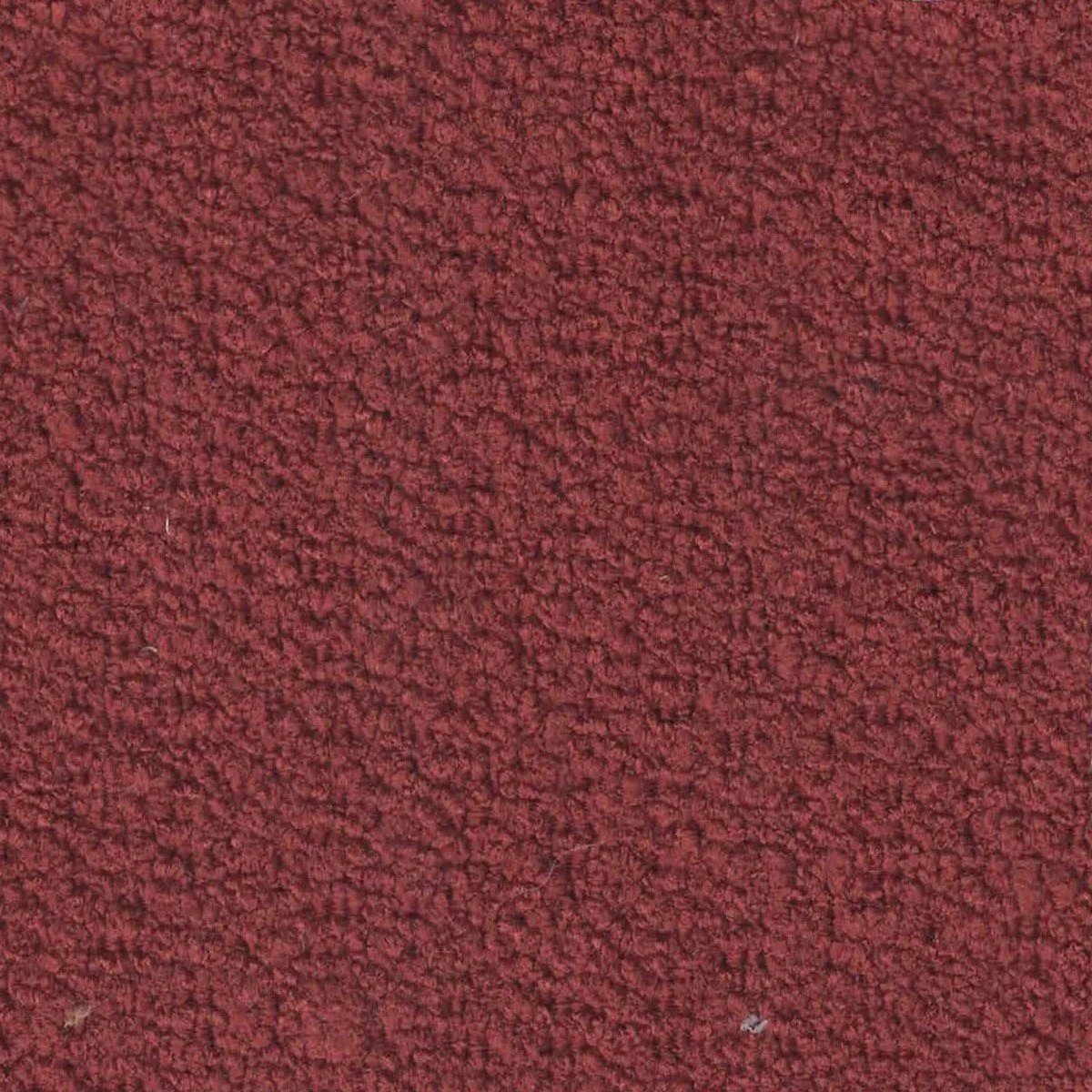 Blossom Campfire.jpg