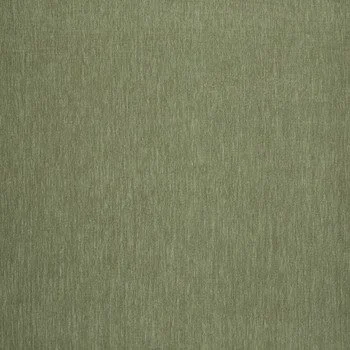 Amici Fern.jpg