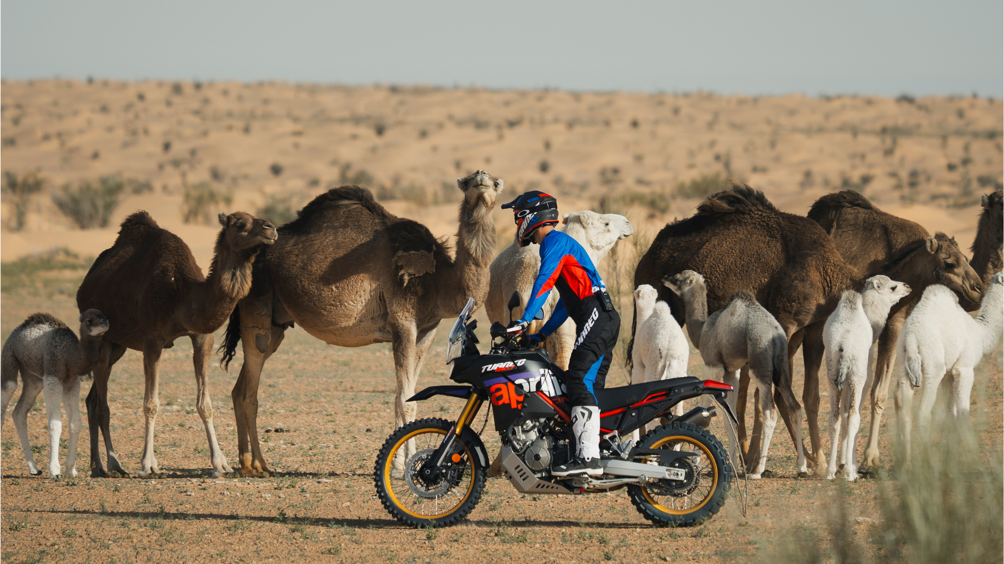 MOROCCO NOMAD RIDE