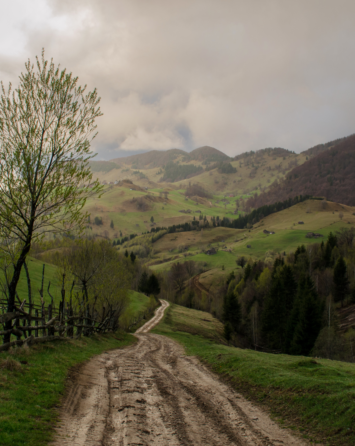 TUAREG EXPERIENCE TRANSYLVANIA 