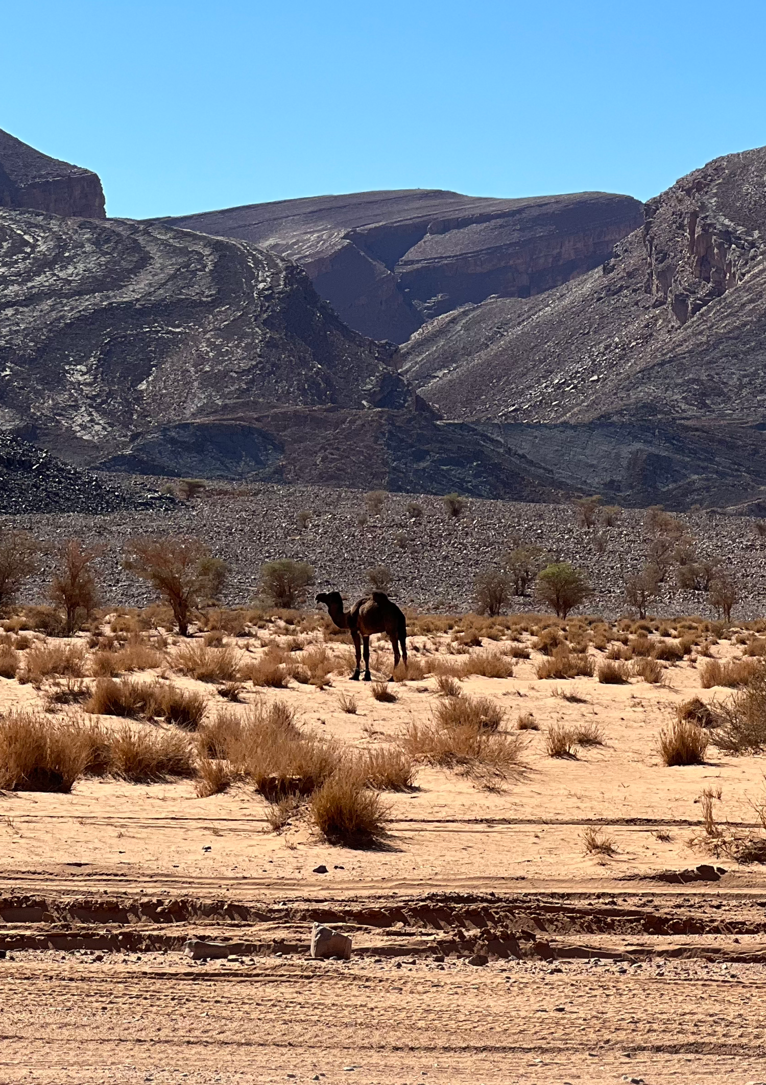 MAROCCO - DALL’ATLANTE ALL’ATLANTICO