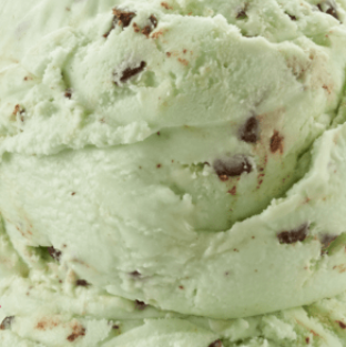 Mint Chocolate Chip