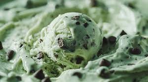 Mint Chocolate Chip